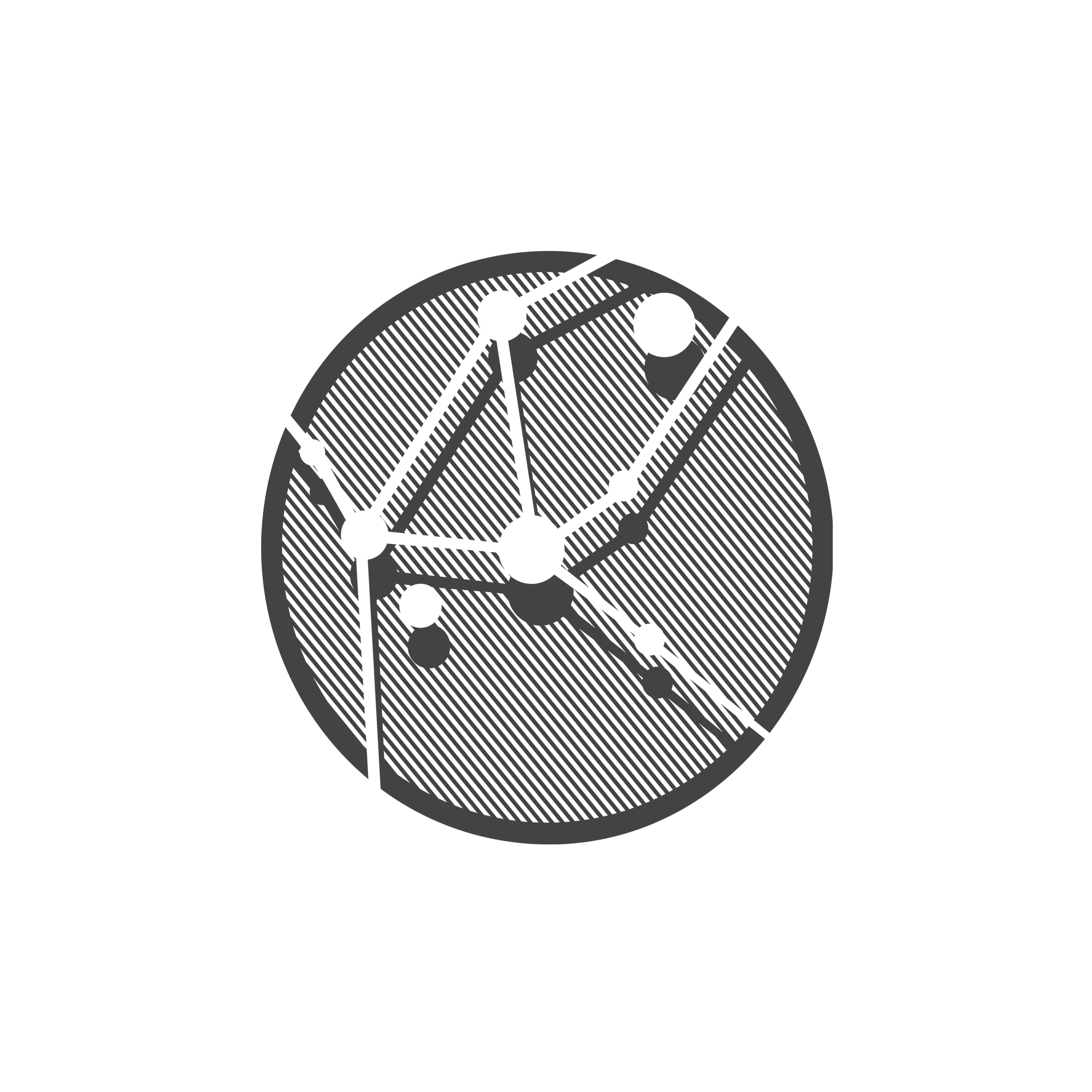 Neural Correlates of Consciousness in Anesthesia