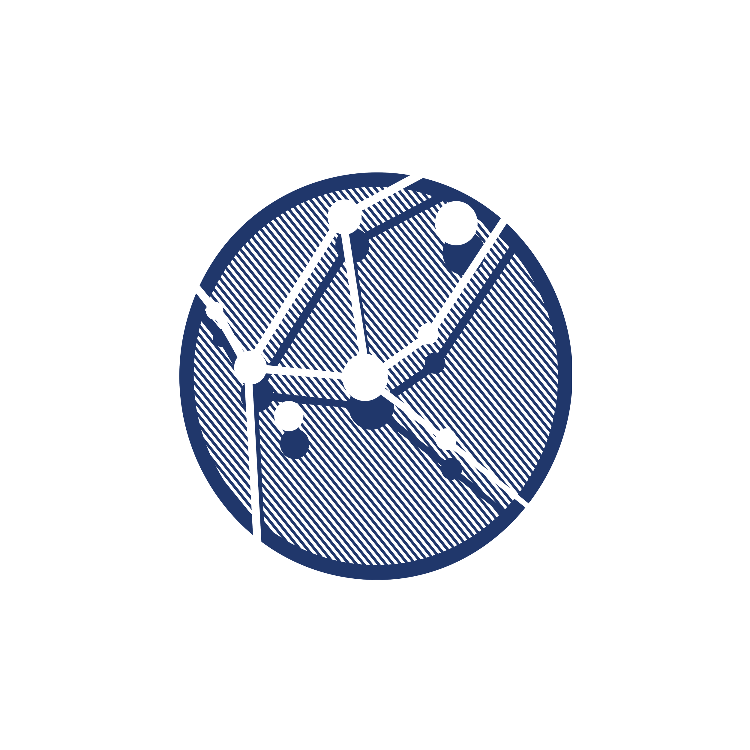 Low-Intensity Focused Ultrasound Pulsation (LIFUP) in Disorders of Consciousness (DoC): Brainstem, Posterior Thalamic and Parathalamic Nuclei