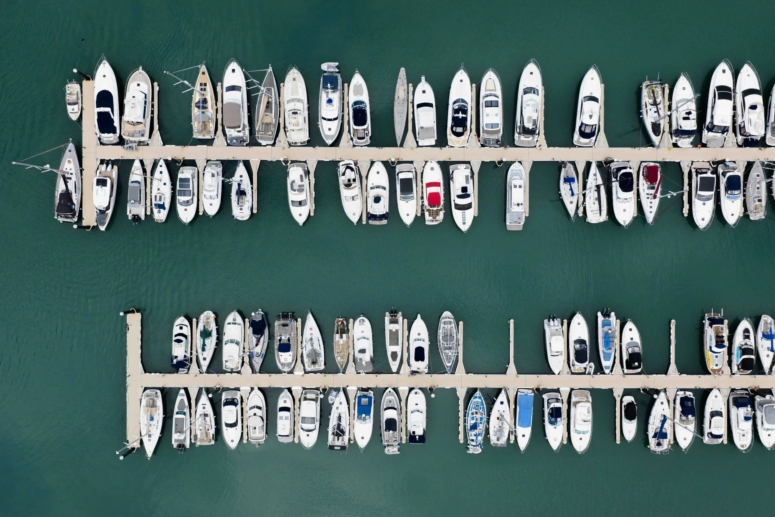 2025 - PoJ - Elizabeth Marina -50.jpg
