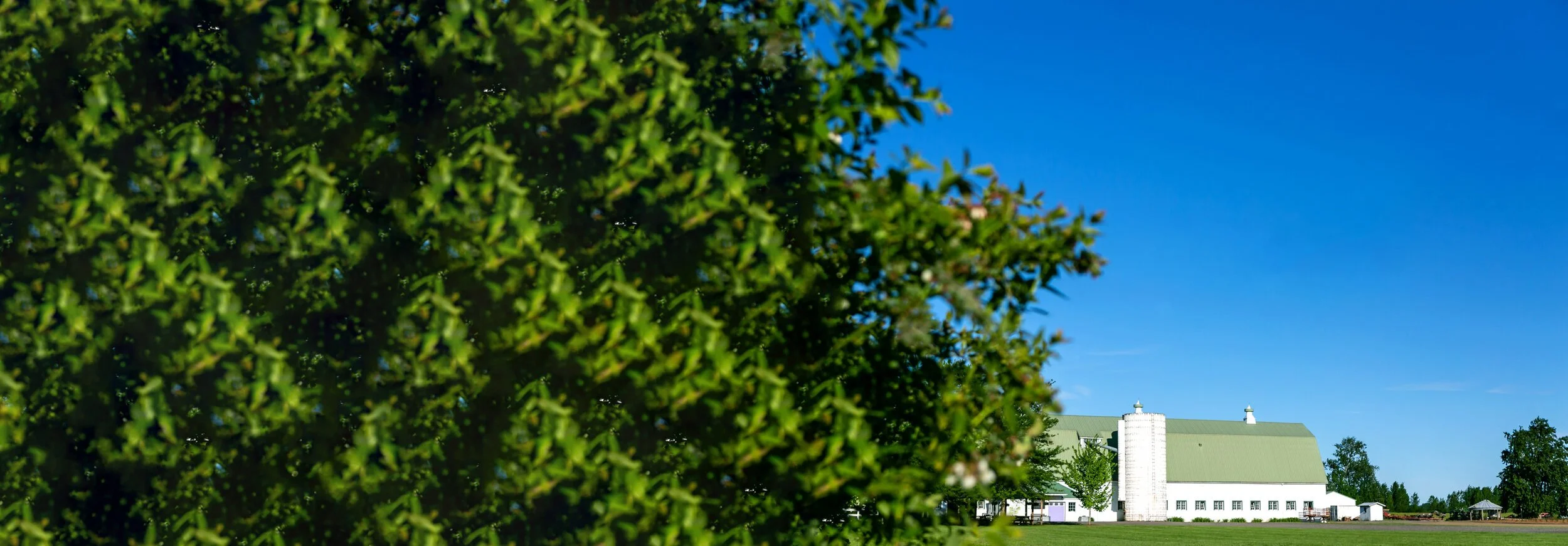 Columbia Farms UPick