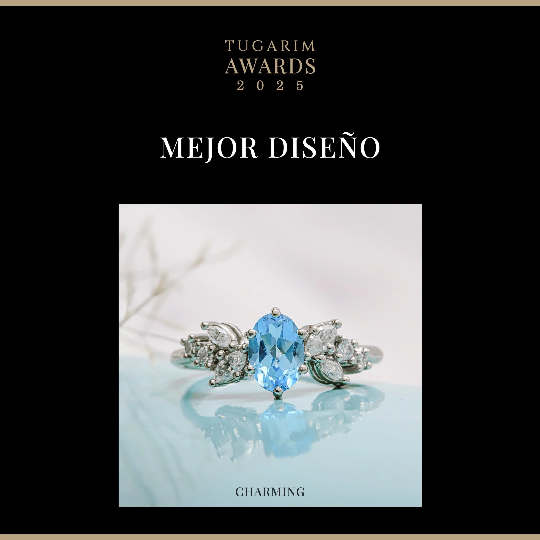 INICIO PREMIOS 2025-07.jpg