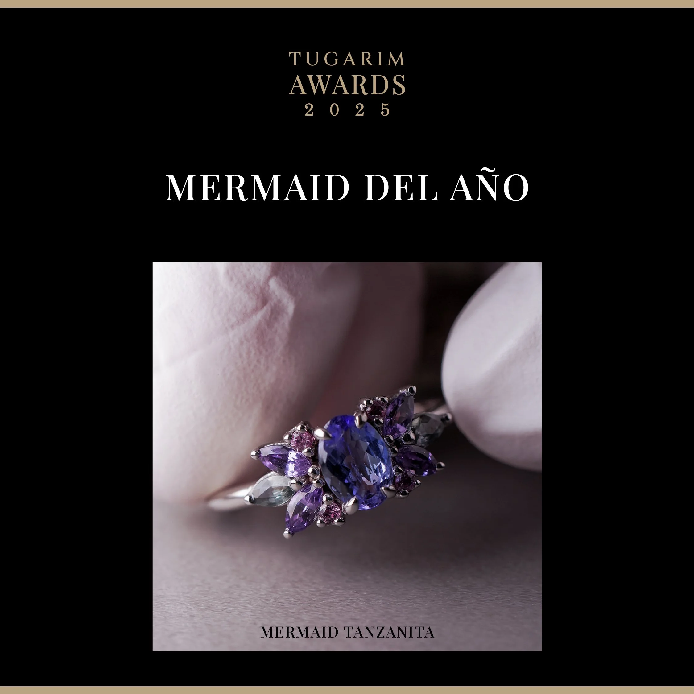 INICIO PREMIOS 2025_Mesa de trabajo 1.jpg