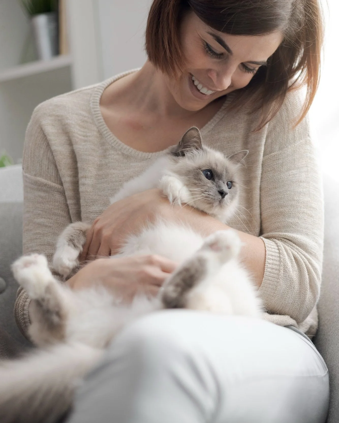 APAC Ingredients Ltd — New Zealand Pet Food Manufacturers Association