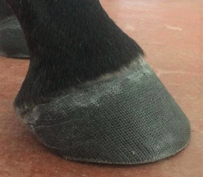 Cast-1.jpeg