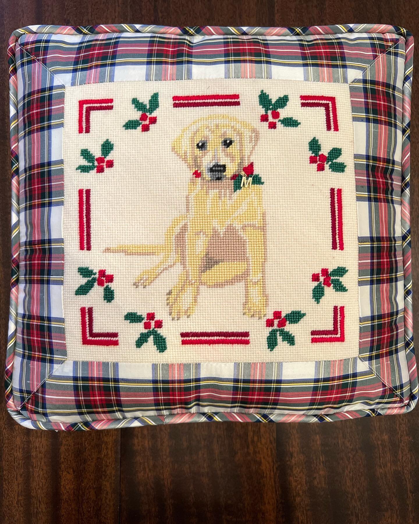 I know many of you saw this pillow I stitched from the most talented finisher @christyragandesigns this week but I waited to post till it arrived.

I stitched this amazing @blueridgestitchery canvas for my Eleanor for her bad girl Marigold. Paige is 
