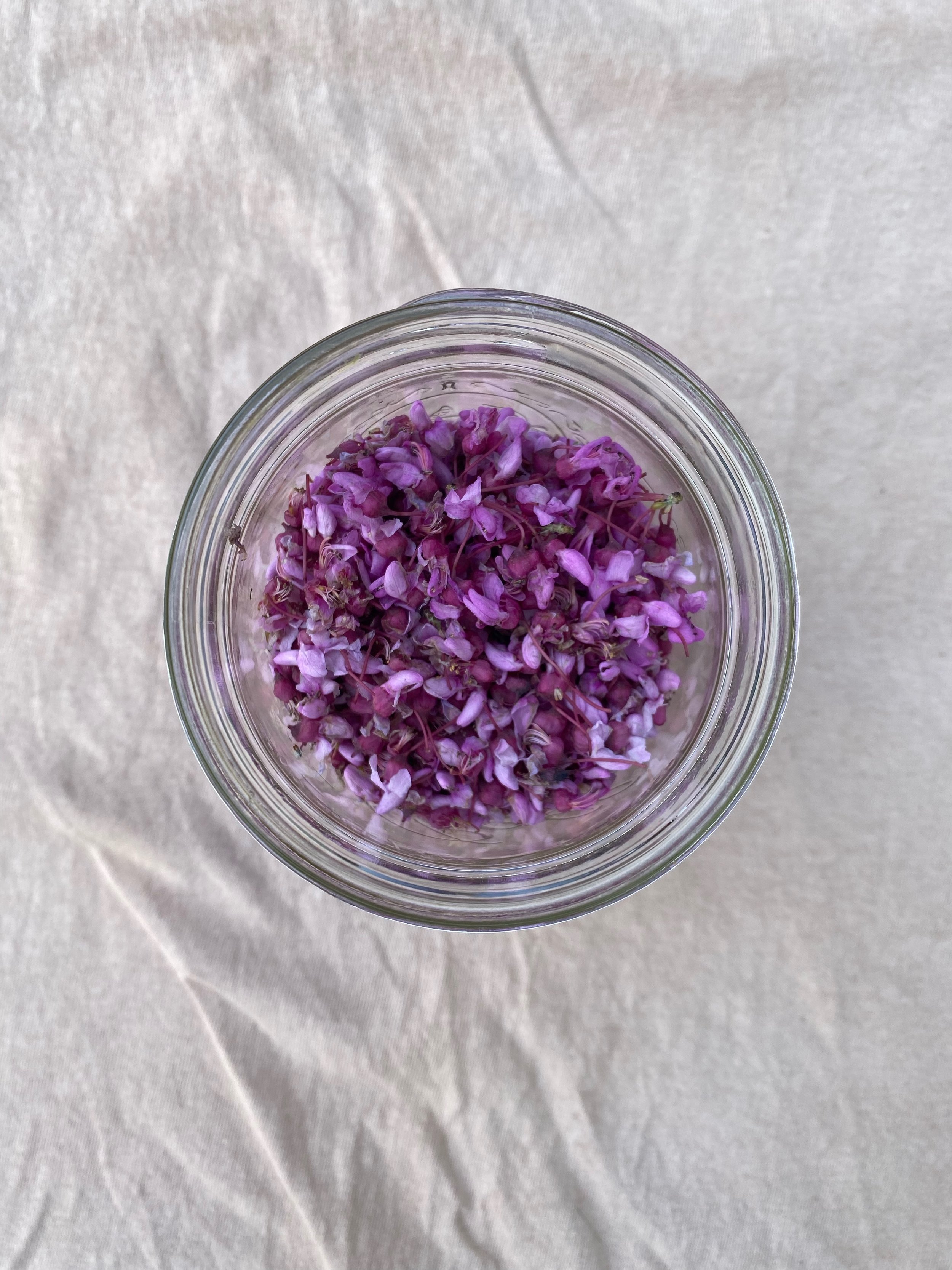Urban Dyeing: Cherry Blossom