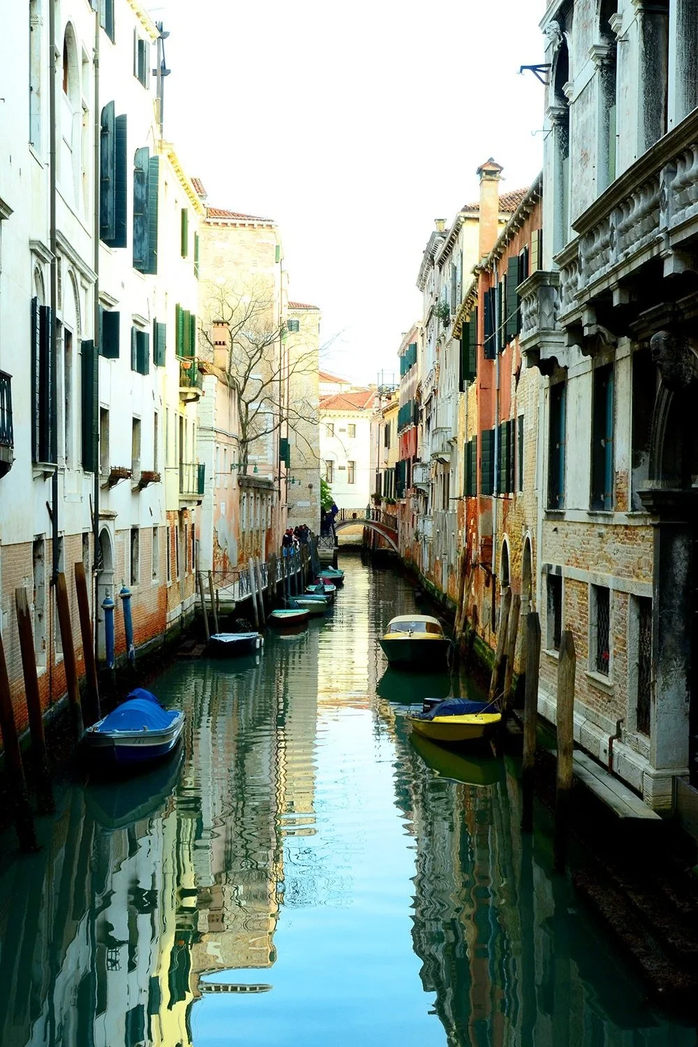 venice.jpg