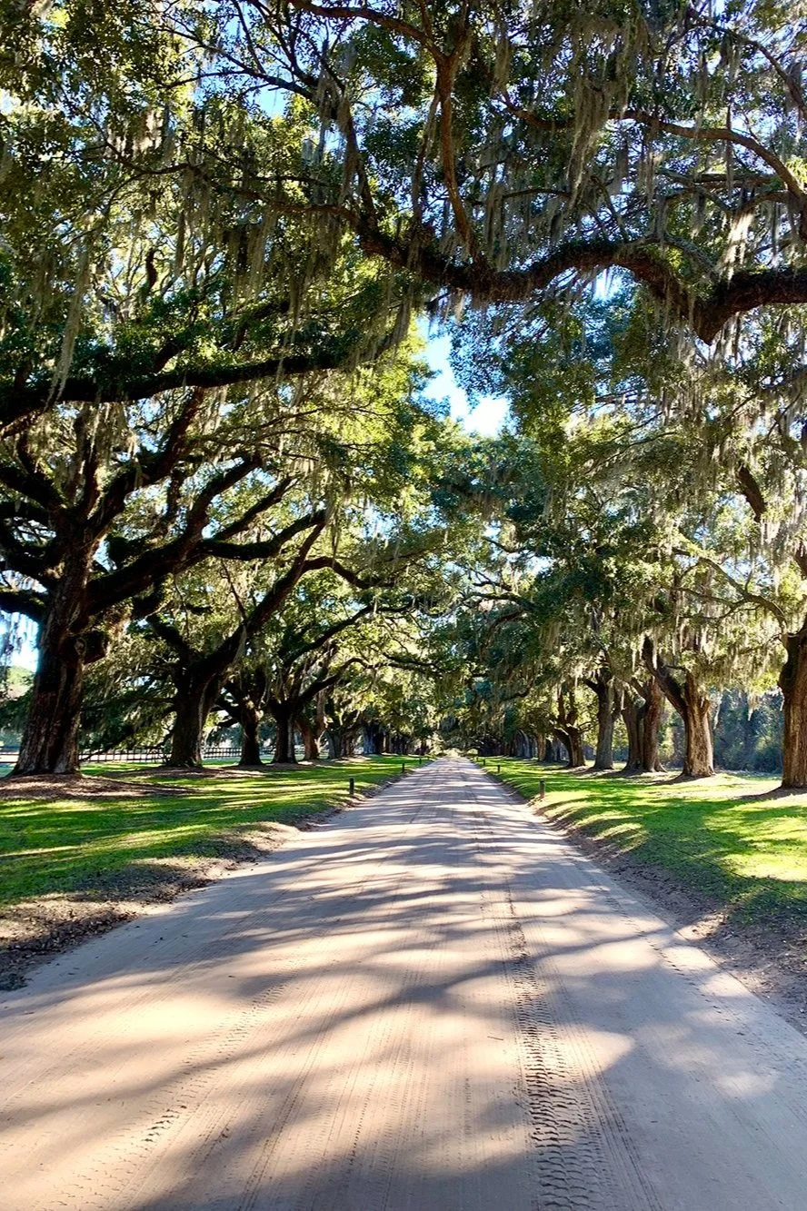 boone-hall.jpg