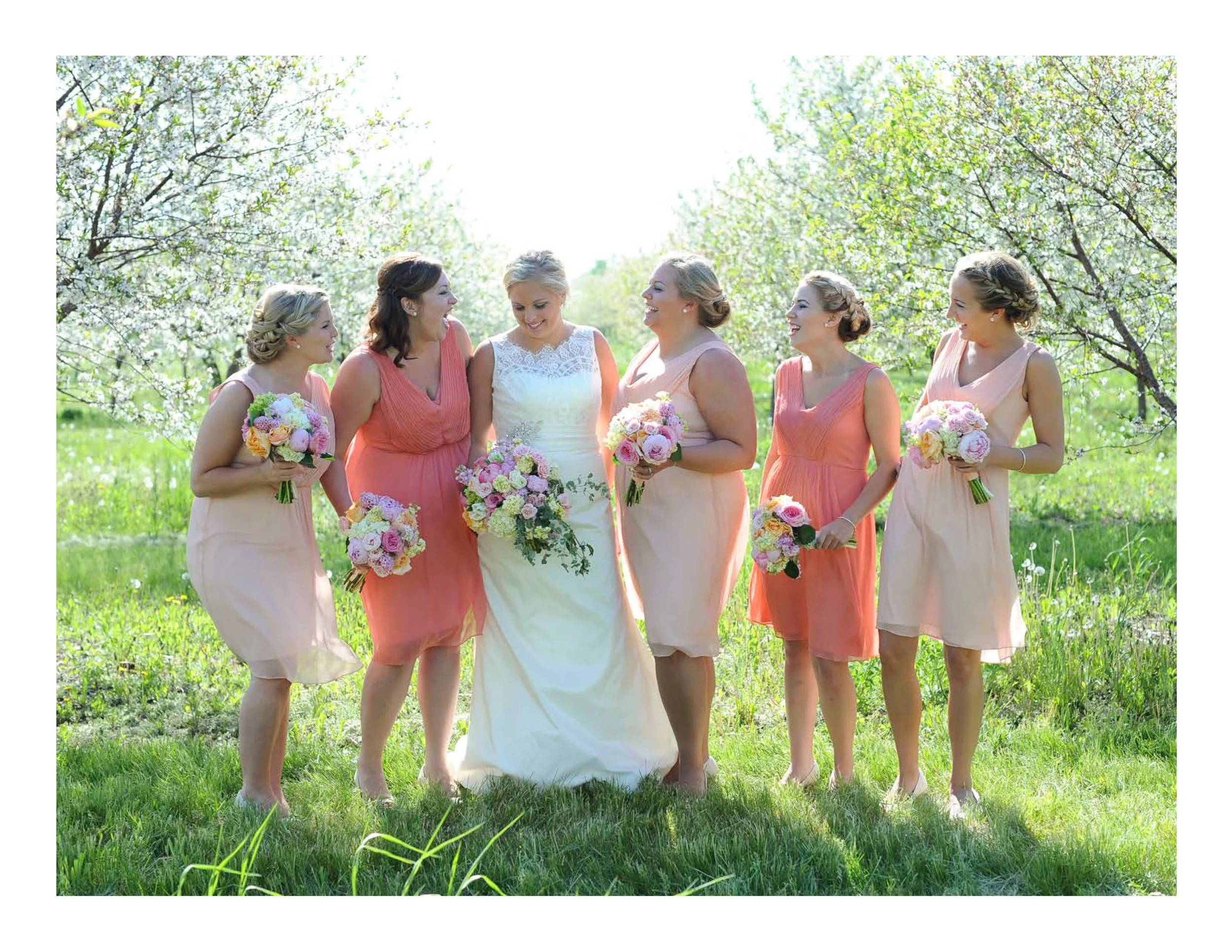 Wedding Collections  |  Page 2