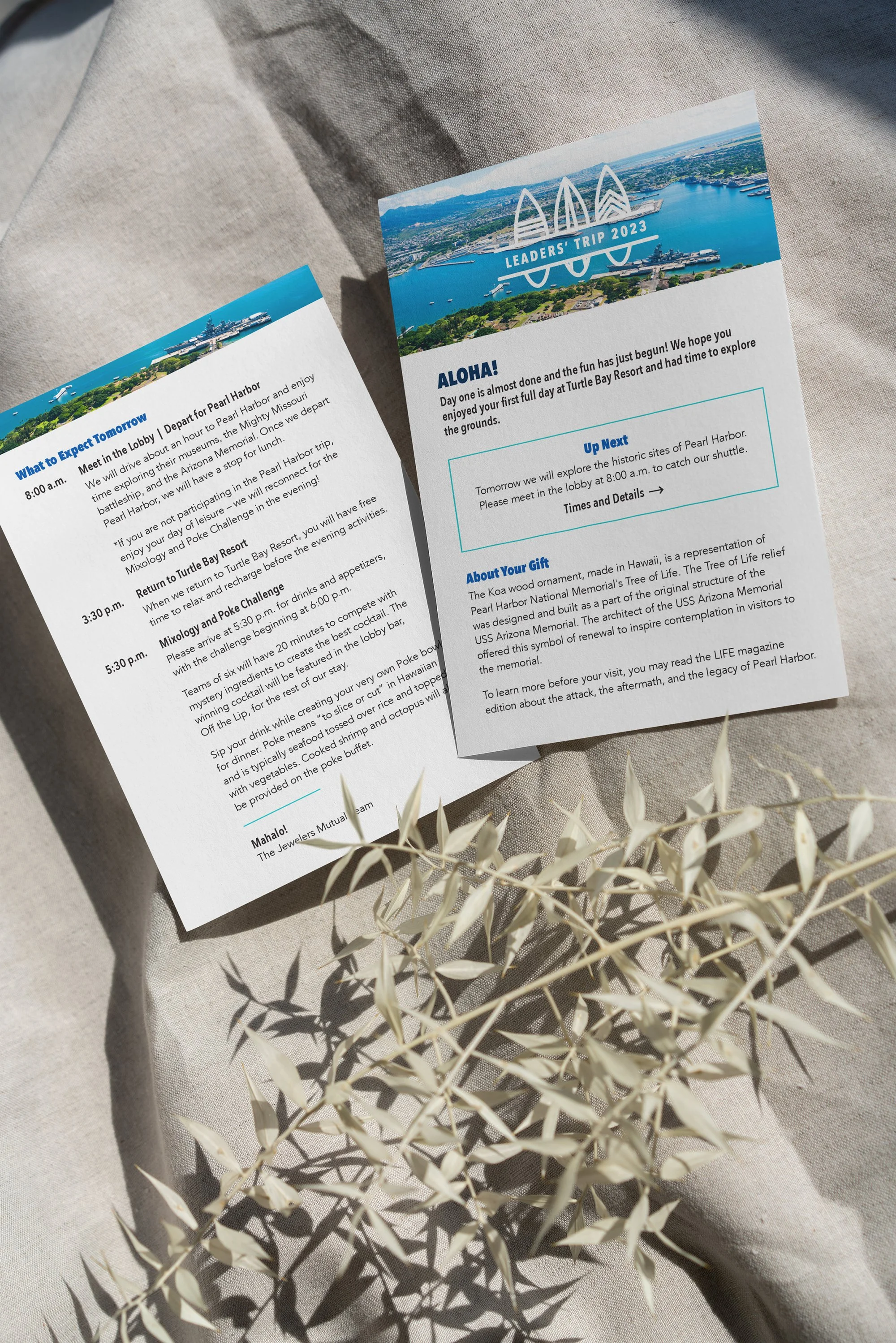 Appreciation Event: Print Materials