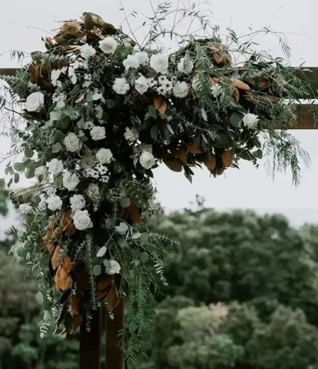 The luscious arbour details from Alicia + Simon's Wedding at the stunning @thebowerestate 

Captured beautifully by @elsimpsonphotography 
#wildebotanicals #goldcoastflorist #floristgoldcoast #flowersgoldcoast #goldcoastflowers #brisbaneflorist #sydn