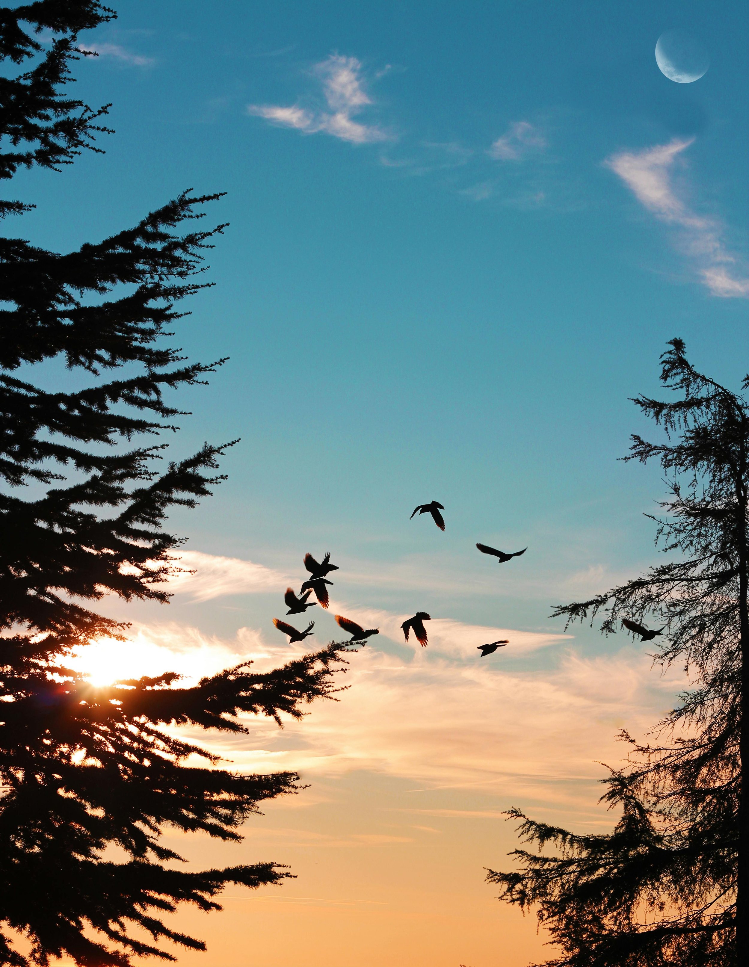 pexels-mirac-sendil-15115035-8692642.jpg