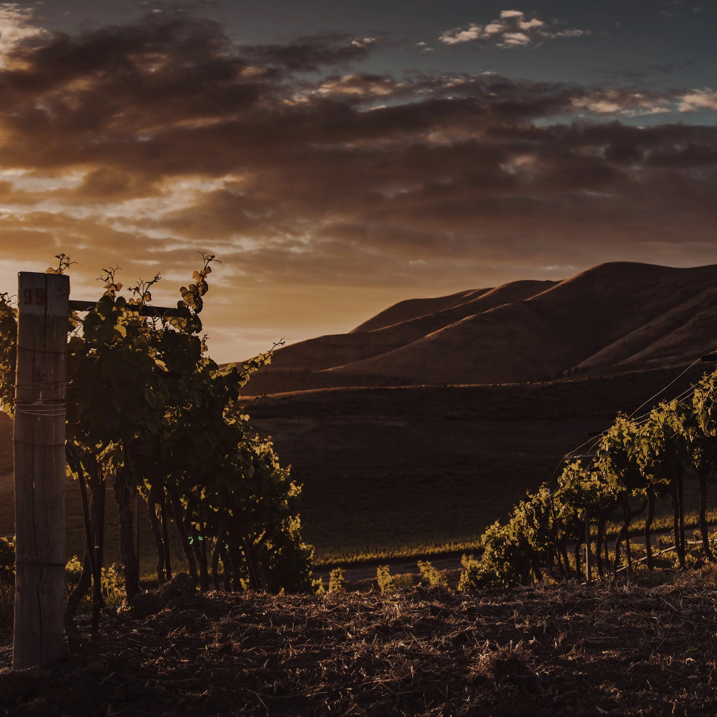 Experience Unrivaled Coastal Living in Santa Barbara and Montecito: Explore Opulent Luxury Real Estate, Unveiling Prestigious Oceanfront Homes, Exclusive Estates, and Architectural Marvels.