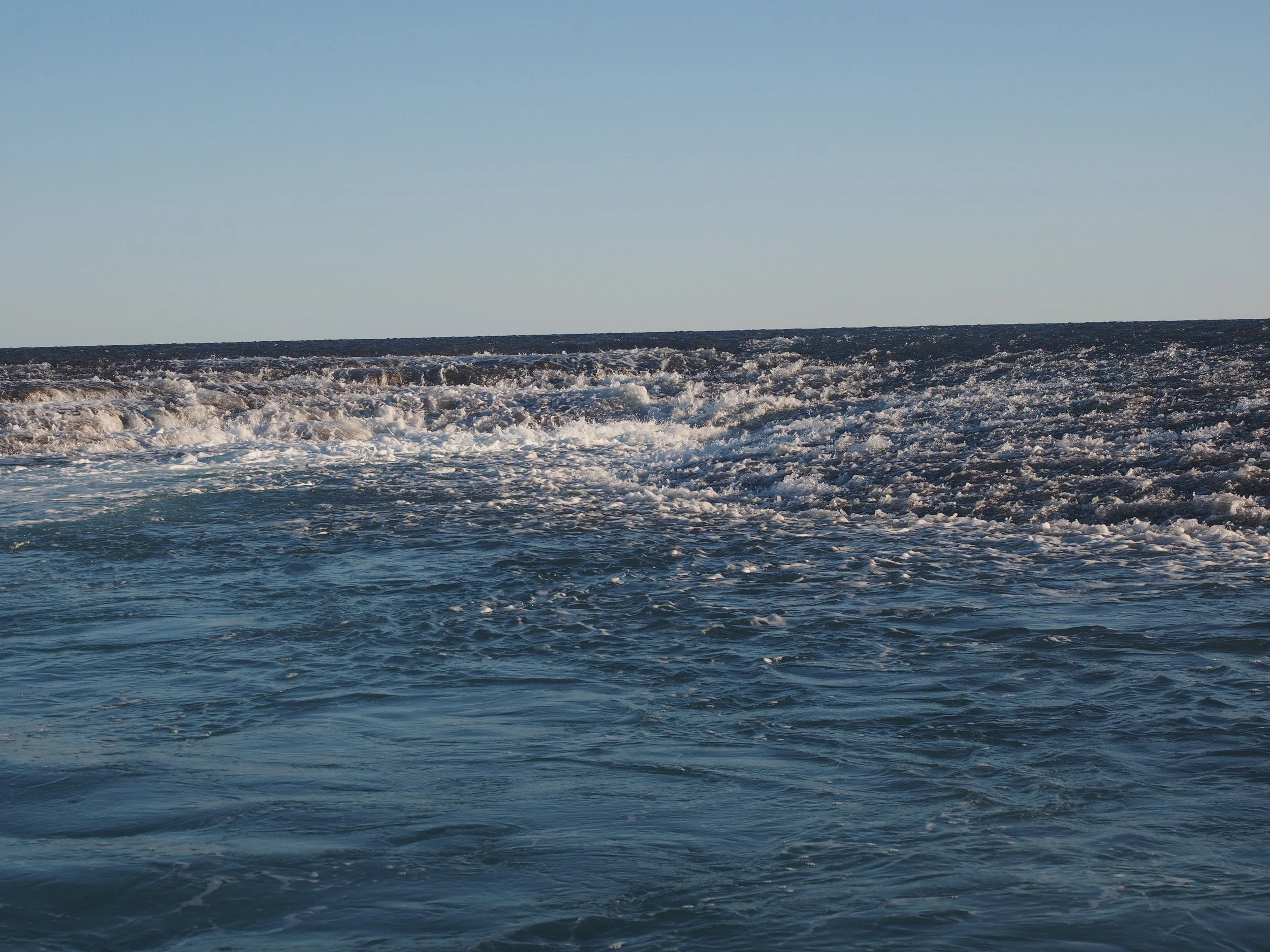 P1010263.JPG