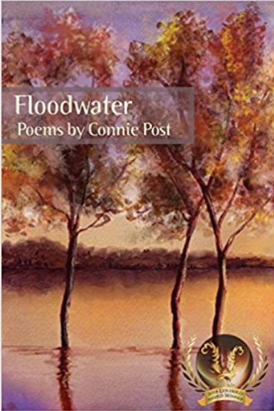 FLOODWATER