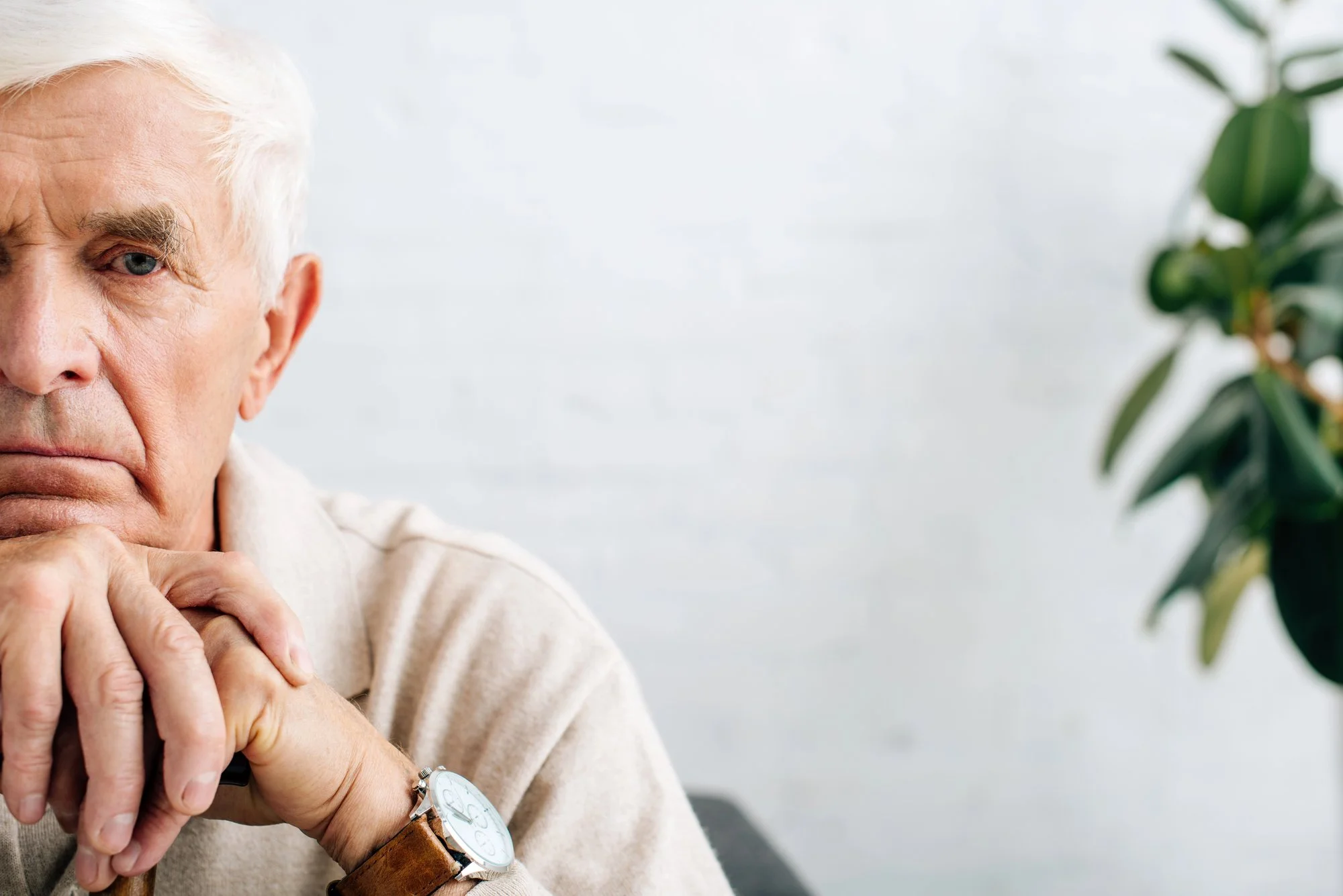 Research on older adults