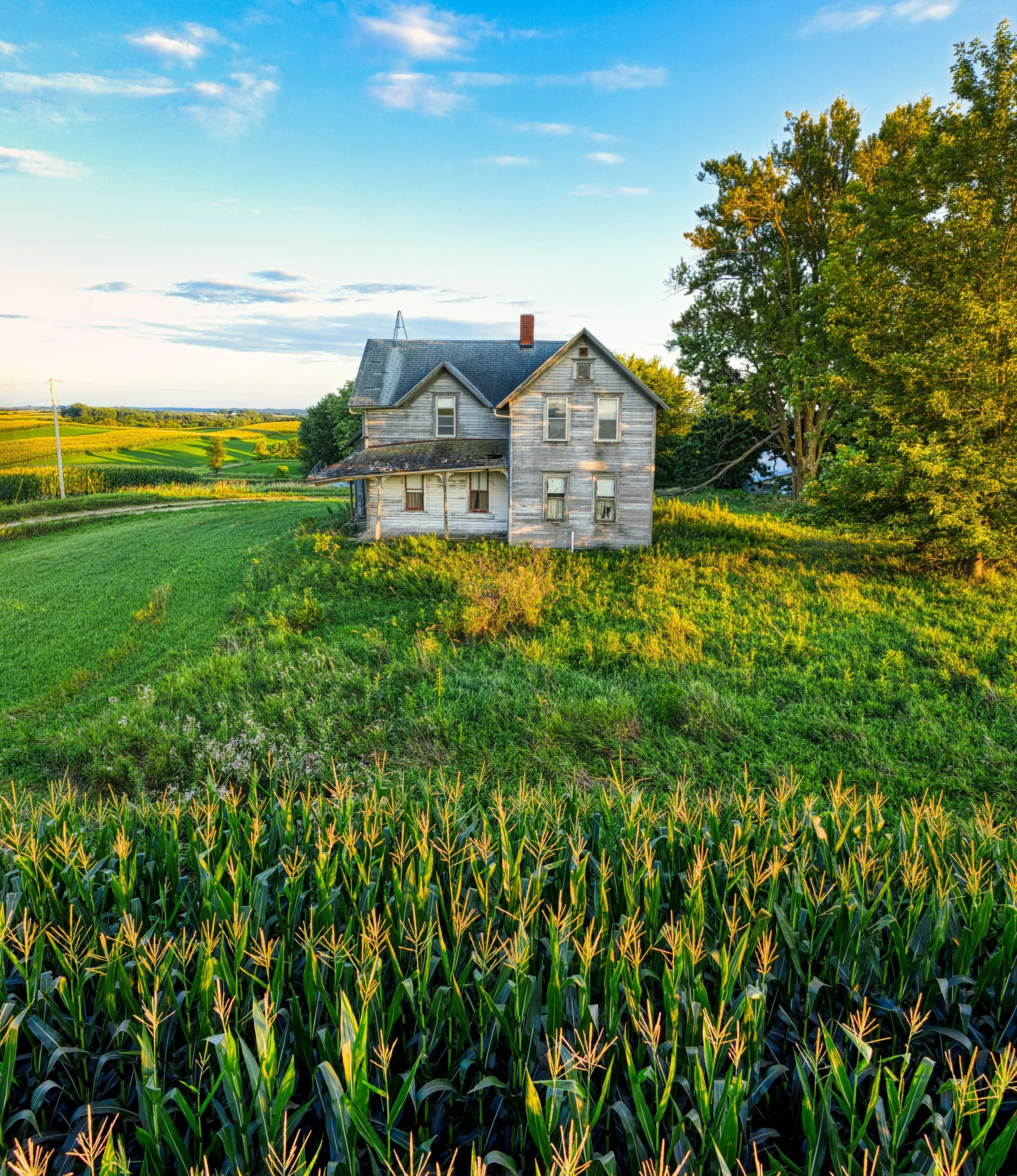 Rural mental health