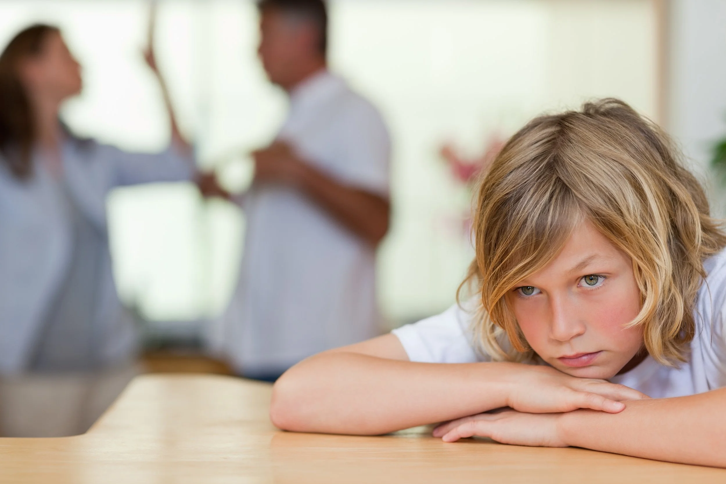 Adolescent suicide risk, firearm access, and family functioning