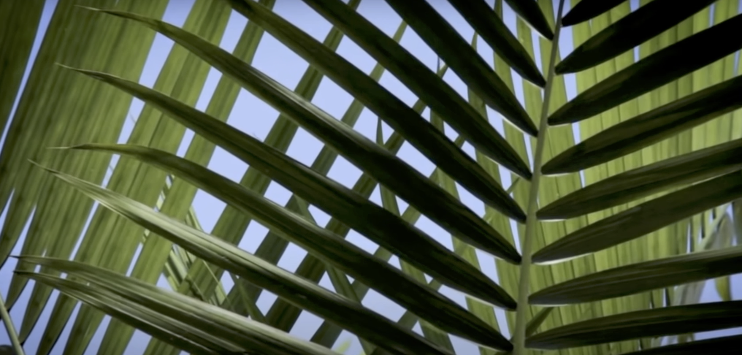 Screen Shot 2022-05-19 at 9.59.22 AM.png