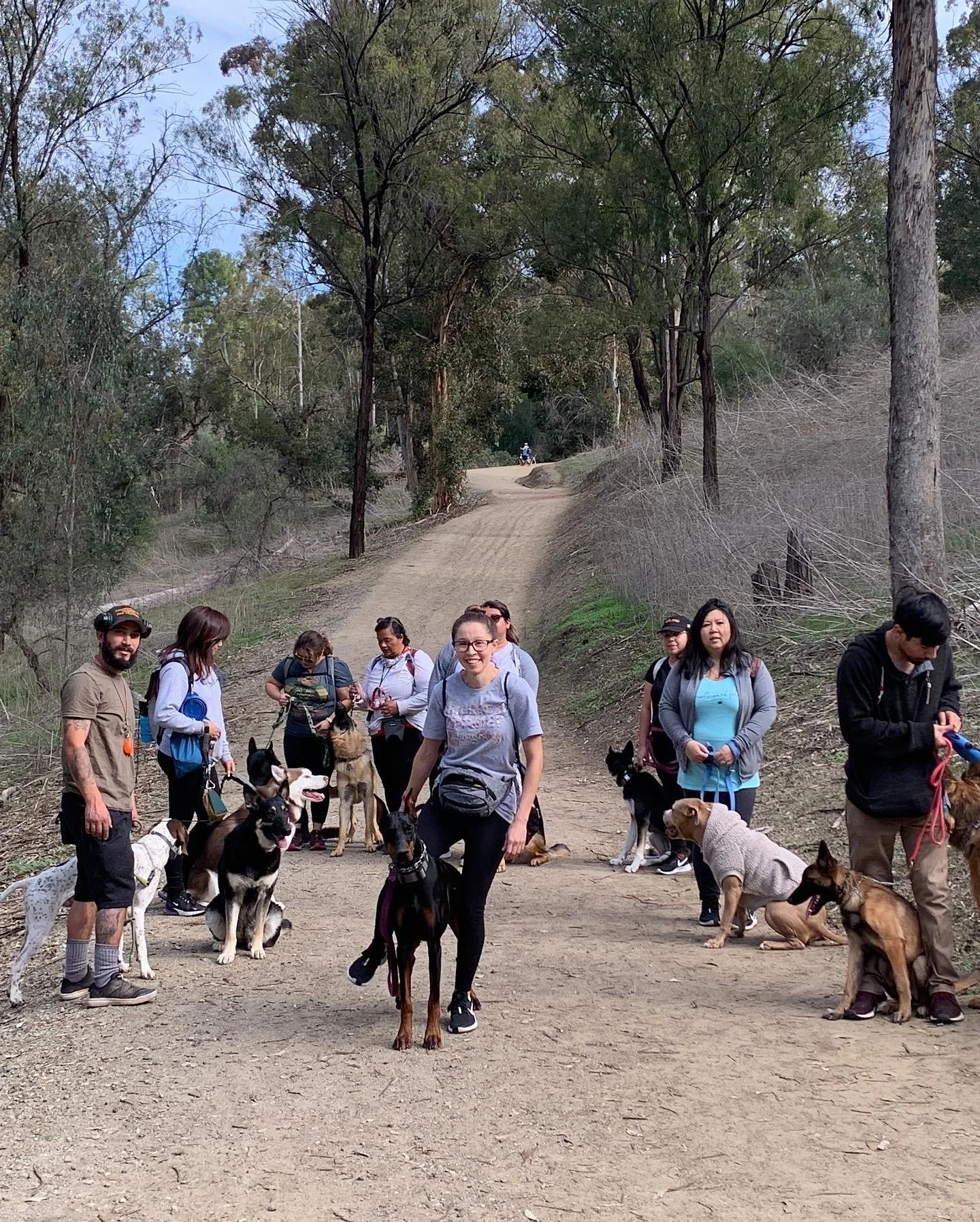 A group of people with dogs on a dirt trail in a wooded area.