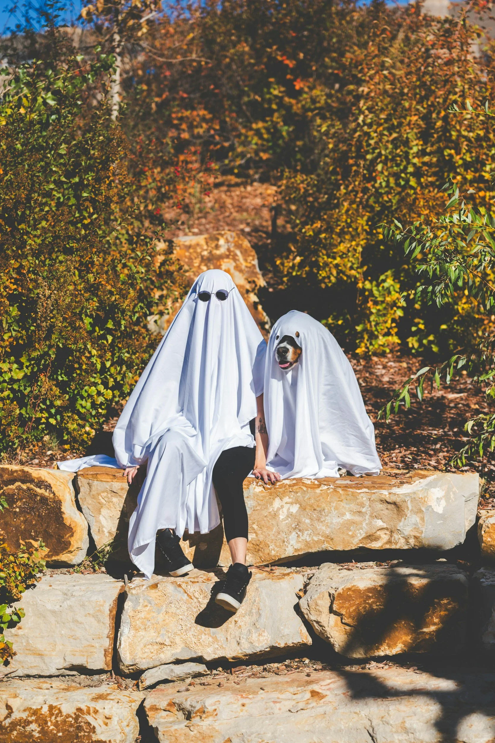 Haunt the Trail - Spooky Hike