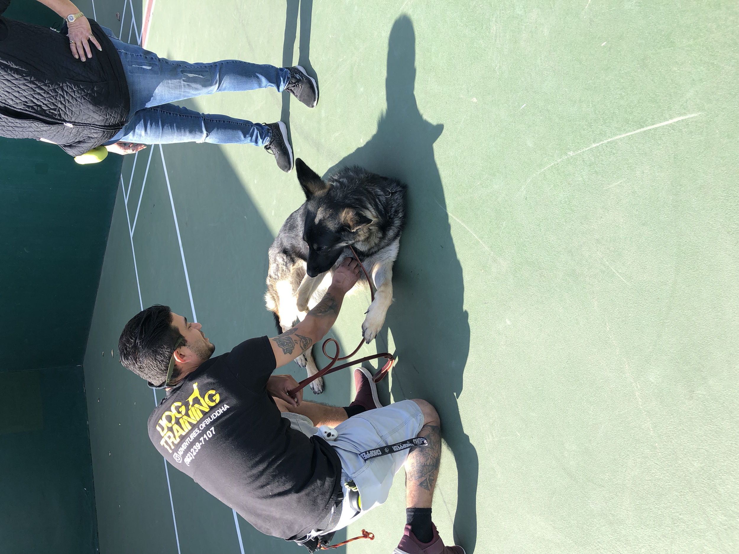 Man kneeling on a tennis court, holding a dog by the collar while another person stands nearby. The man wears a black T-shirt and white shorts. The dog appears to be a large, black and tan German Shepherd mix.