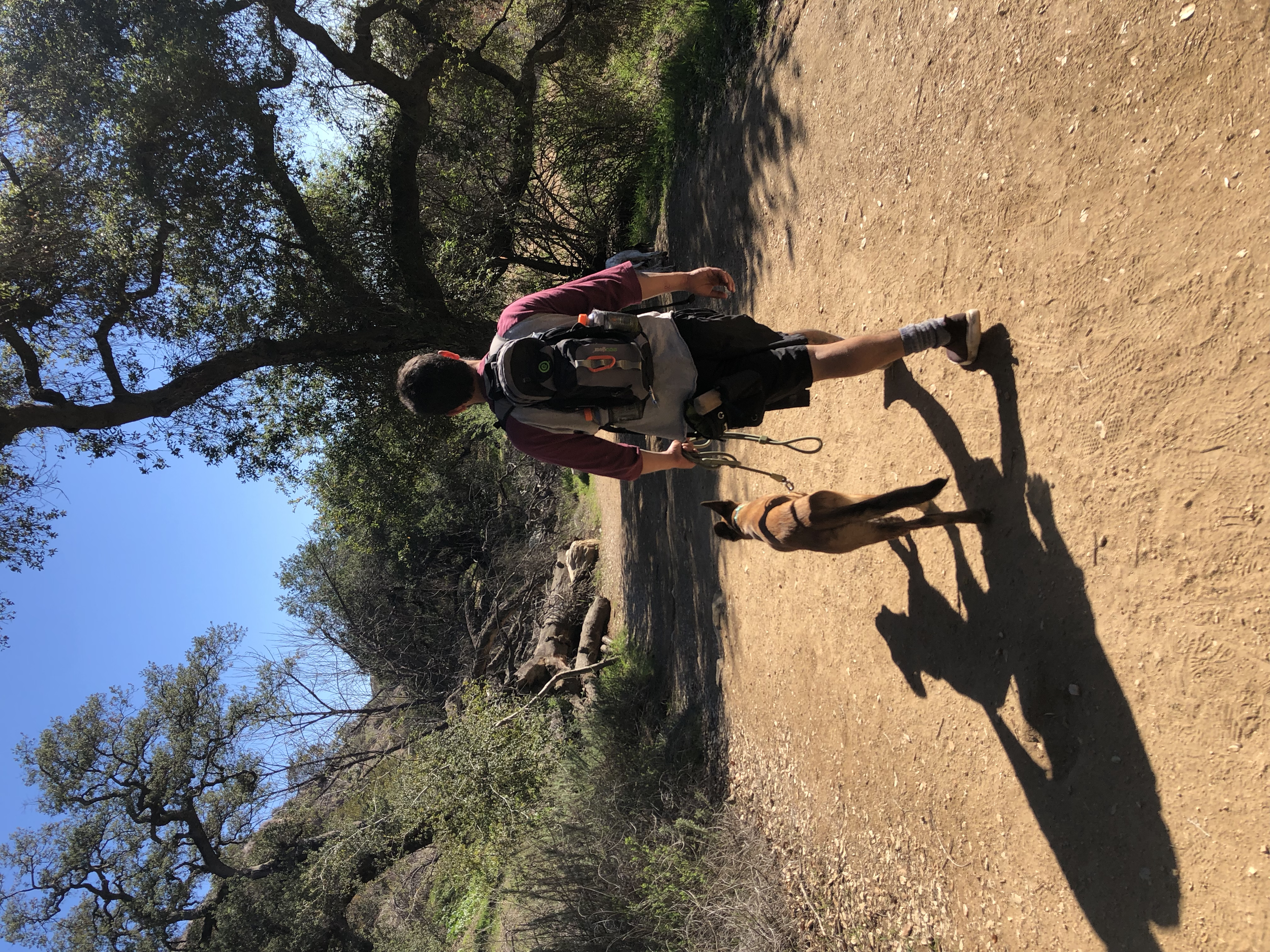 A person with a backpack walking a small dog on a dirt trail in a wooded area under a clear blue sky.