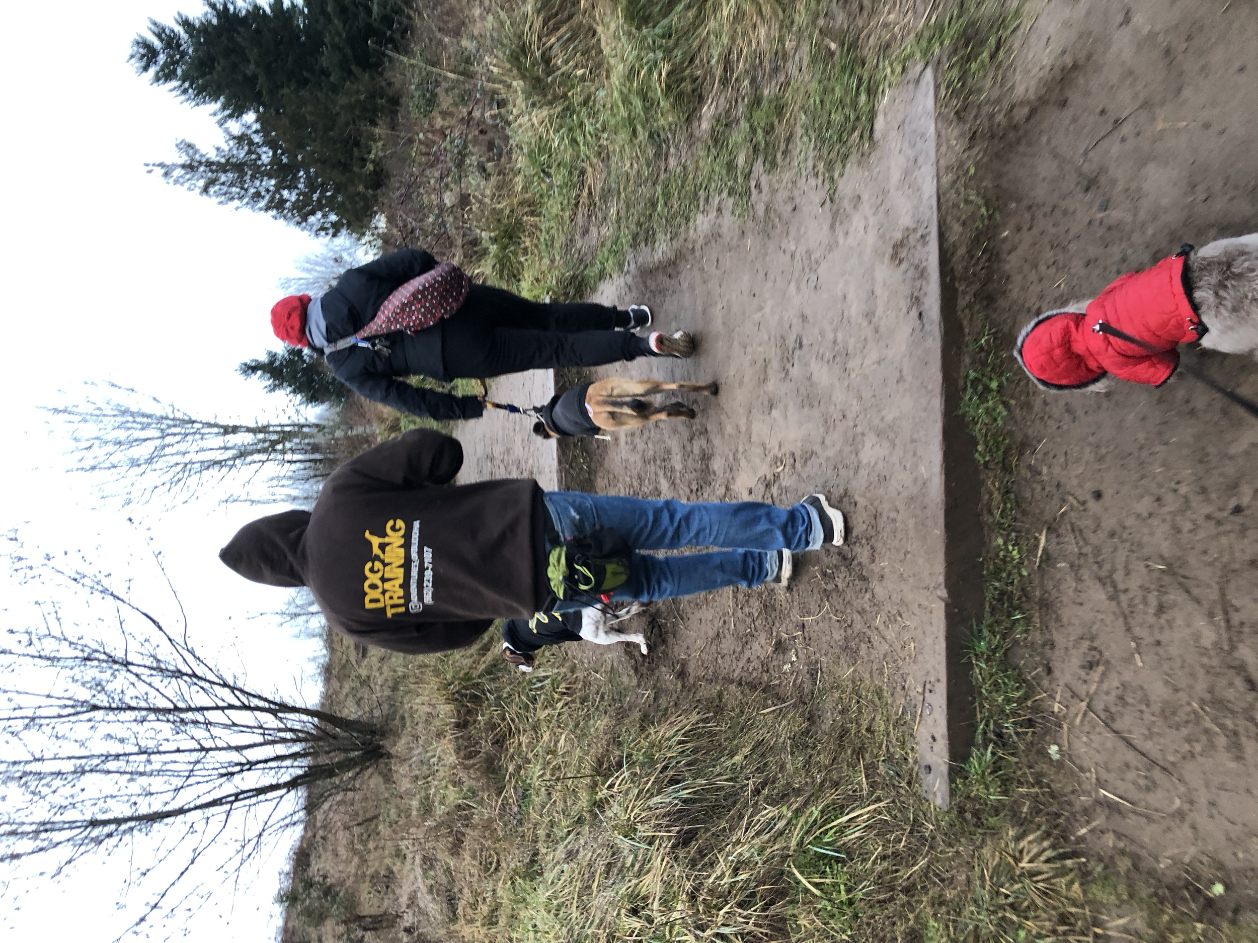 Two people walking dogs on a dirt trail in a wooded area on a cloudy day. One person is wearing a red hat and black coat with a backpack, and the other is wearing a hoodie and jeans.