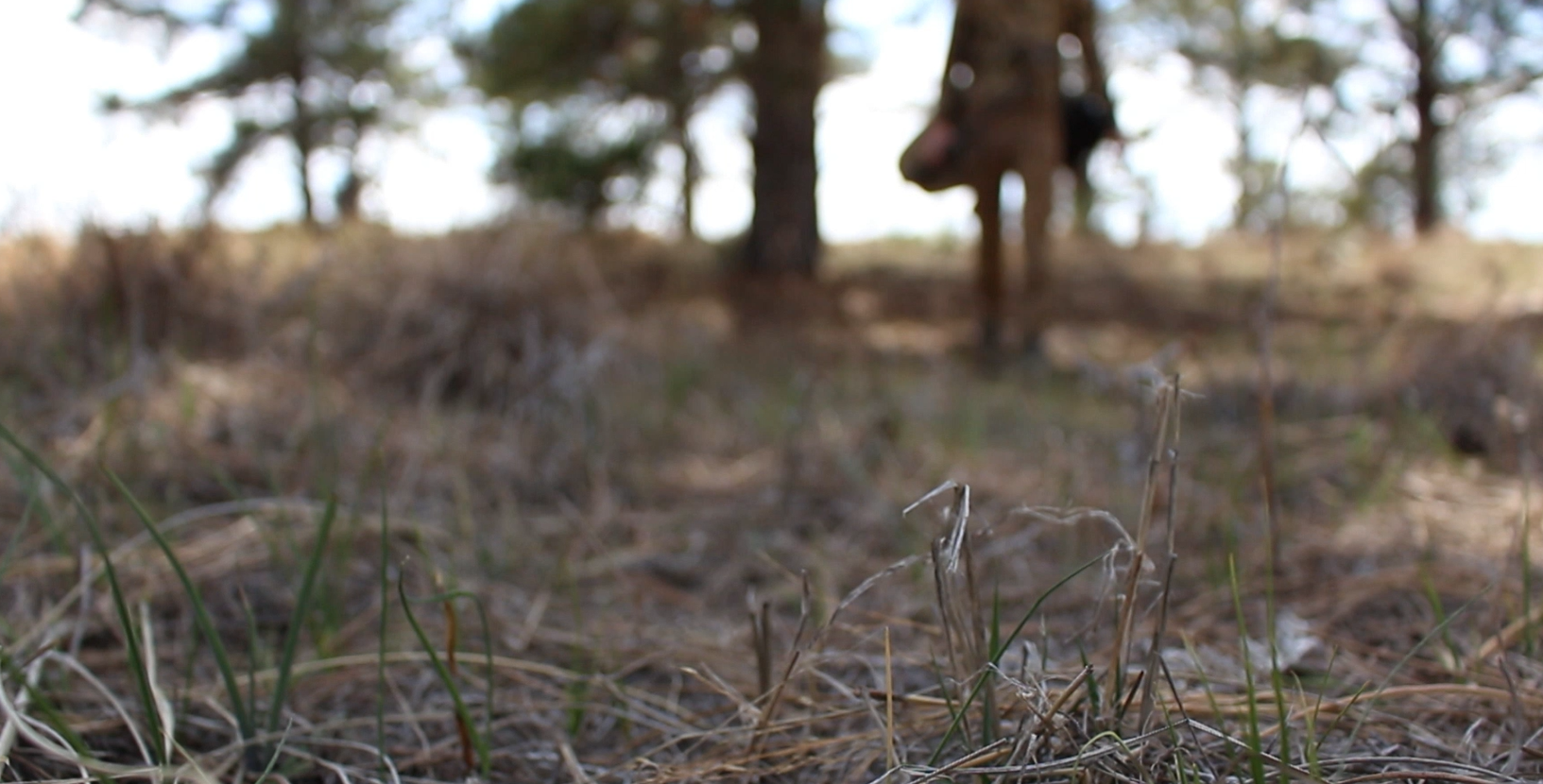 Website Video Clip Image.png