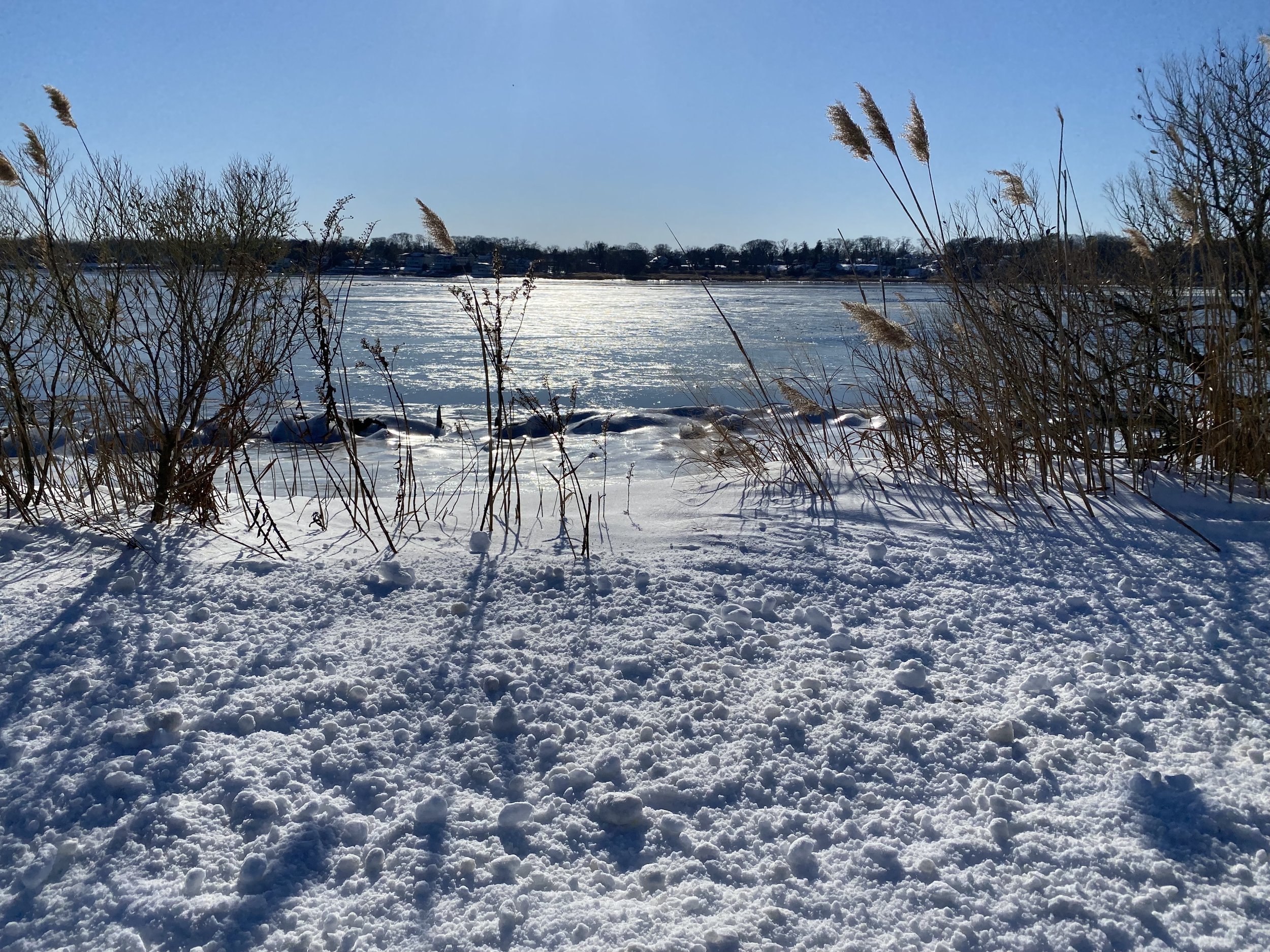 frozen shark river nj.jpg