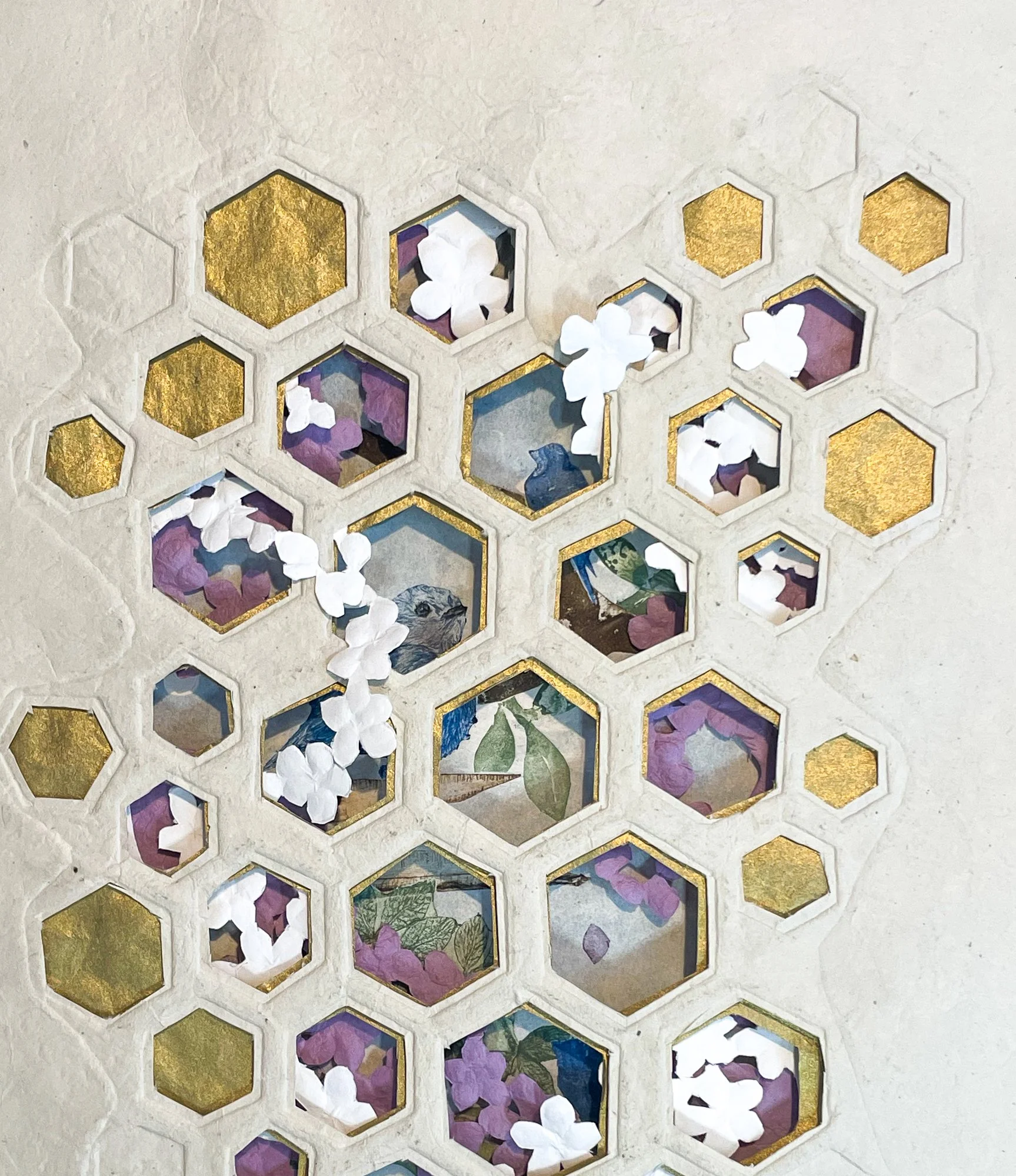 View from a Hive.jpeg