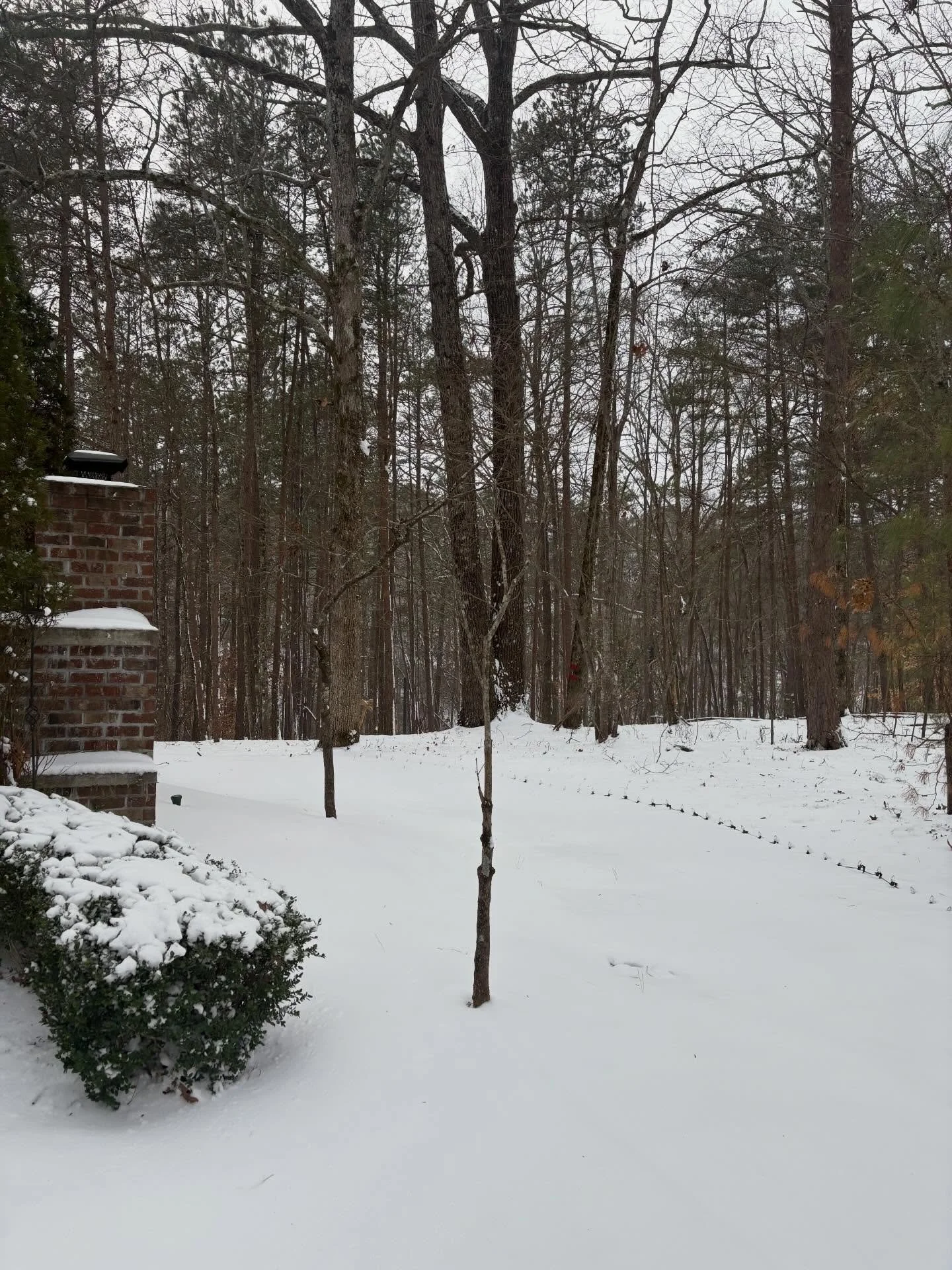 YES!!! We are going with it and having our Open House tomorrow. Our food will be hot and delicious, s&rsquo;mores will be cooking by the fireplace, snow is covering the trees, and parking lot is clear.  We hope you&rsquo;re able to safely make it, we