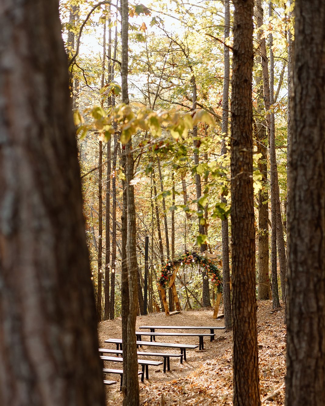 Fall wedding vibes in the woods.  Our outdoor woodsy wedding space is not only right on our Lake Lanier Cove, it is the perfect space that allows for a beautiful sunset backdrop.

@lindseymckinnonphotography @atlantaeventflorals @bradfordhouse_garden