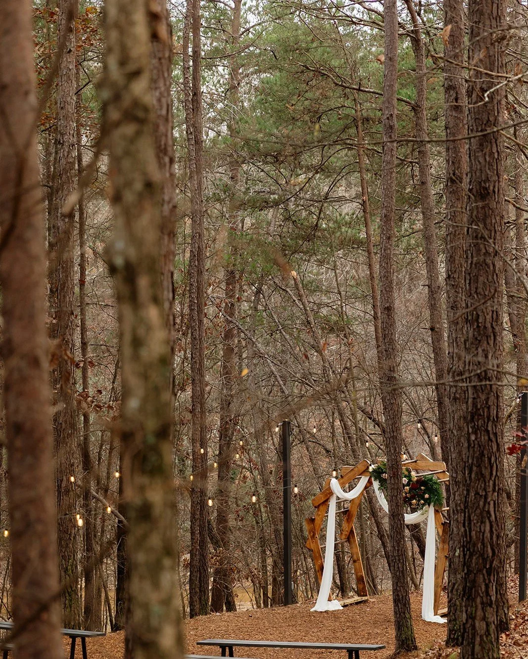 Our nook in the woods lends to a beautiful wedding in the Spring Summer, Fall and Winter.  Our goal is to make your day special, whether you choose outside or inside. 

The pavilion is a beautiful back up plan if the weather does not cooperate, so yo