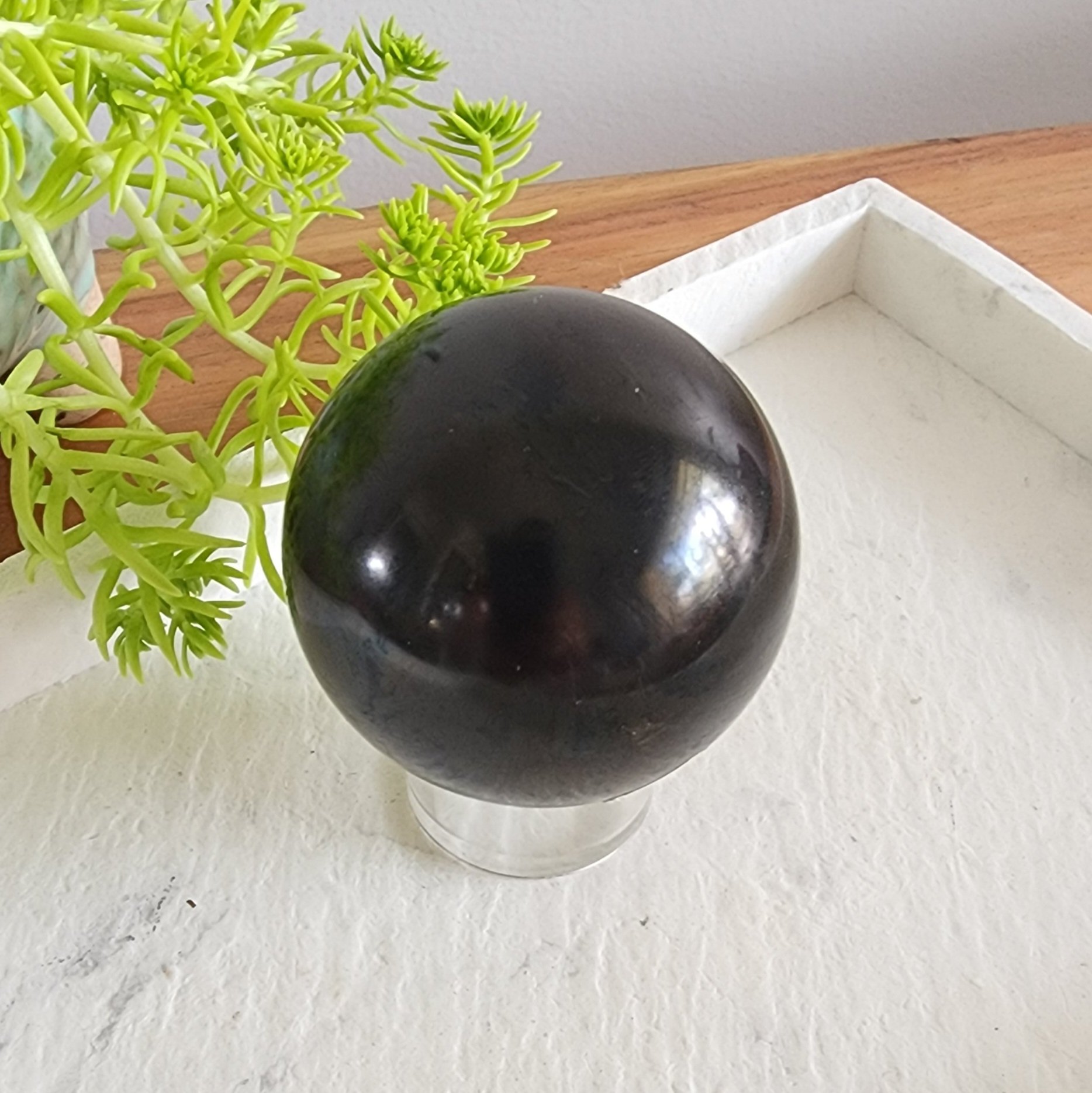 20240905_120659.jpg