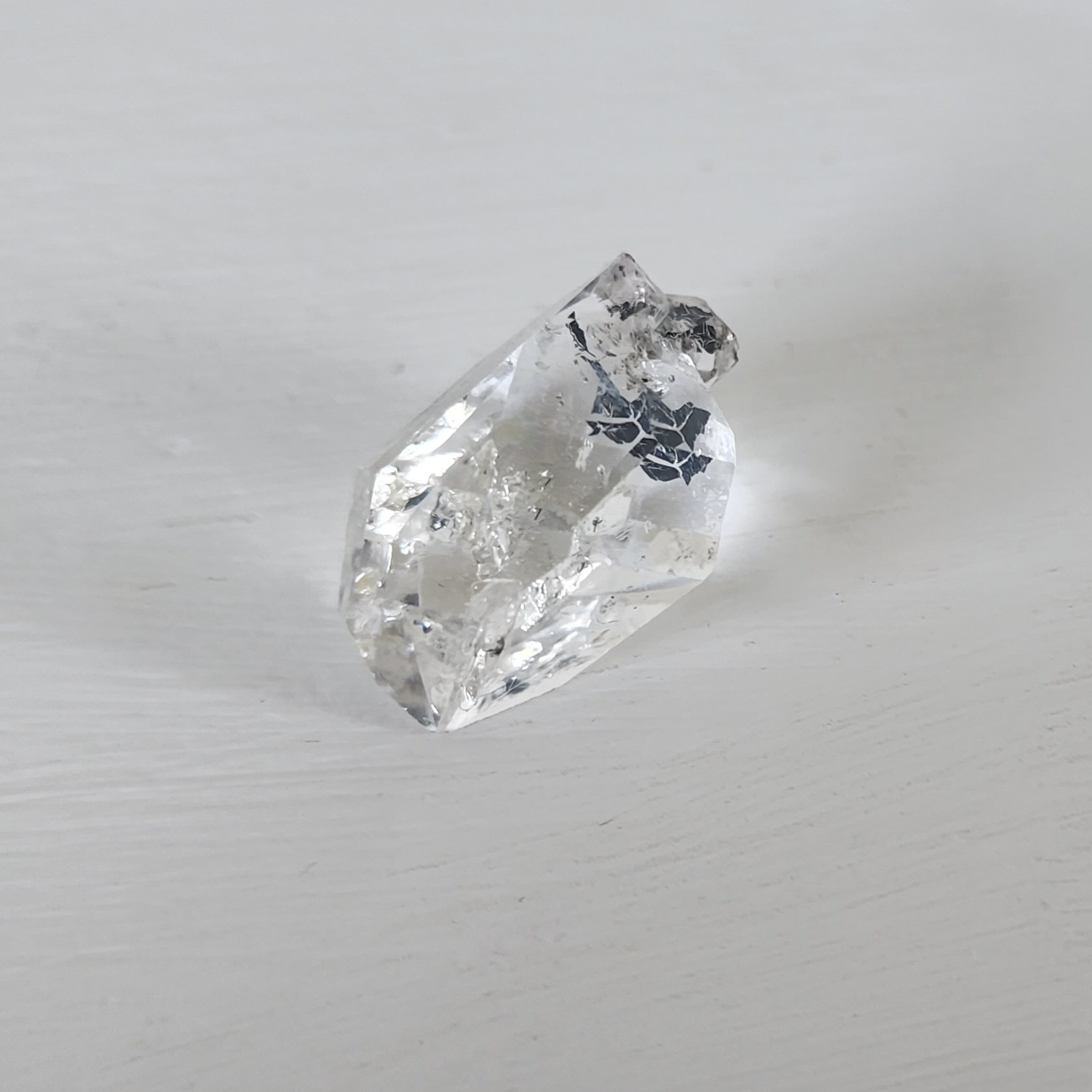 20230926_112257.jpg