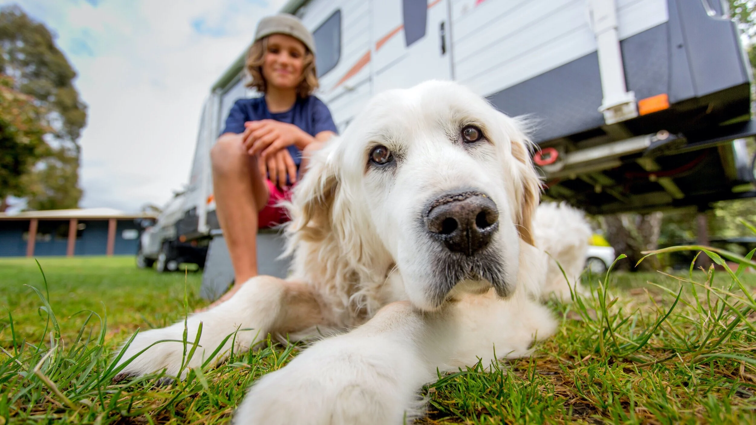 Pet Friendly BIG4 Ulverstone Holiday Park Tasmania