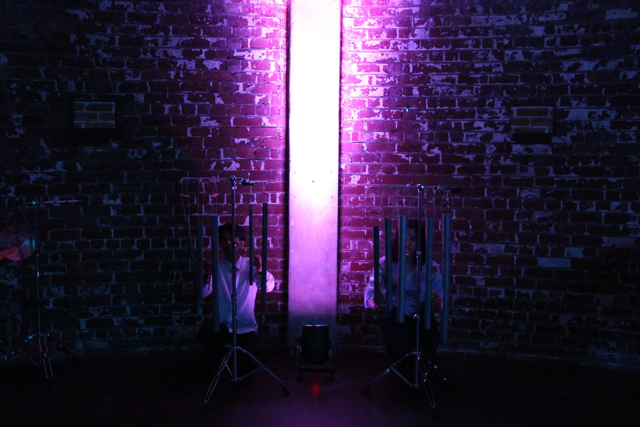 Tubes website photo.JPG