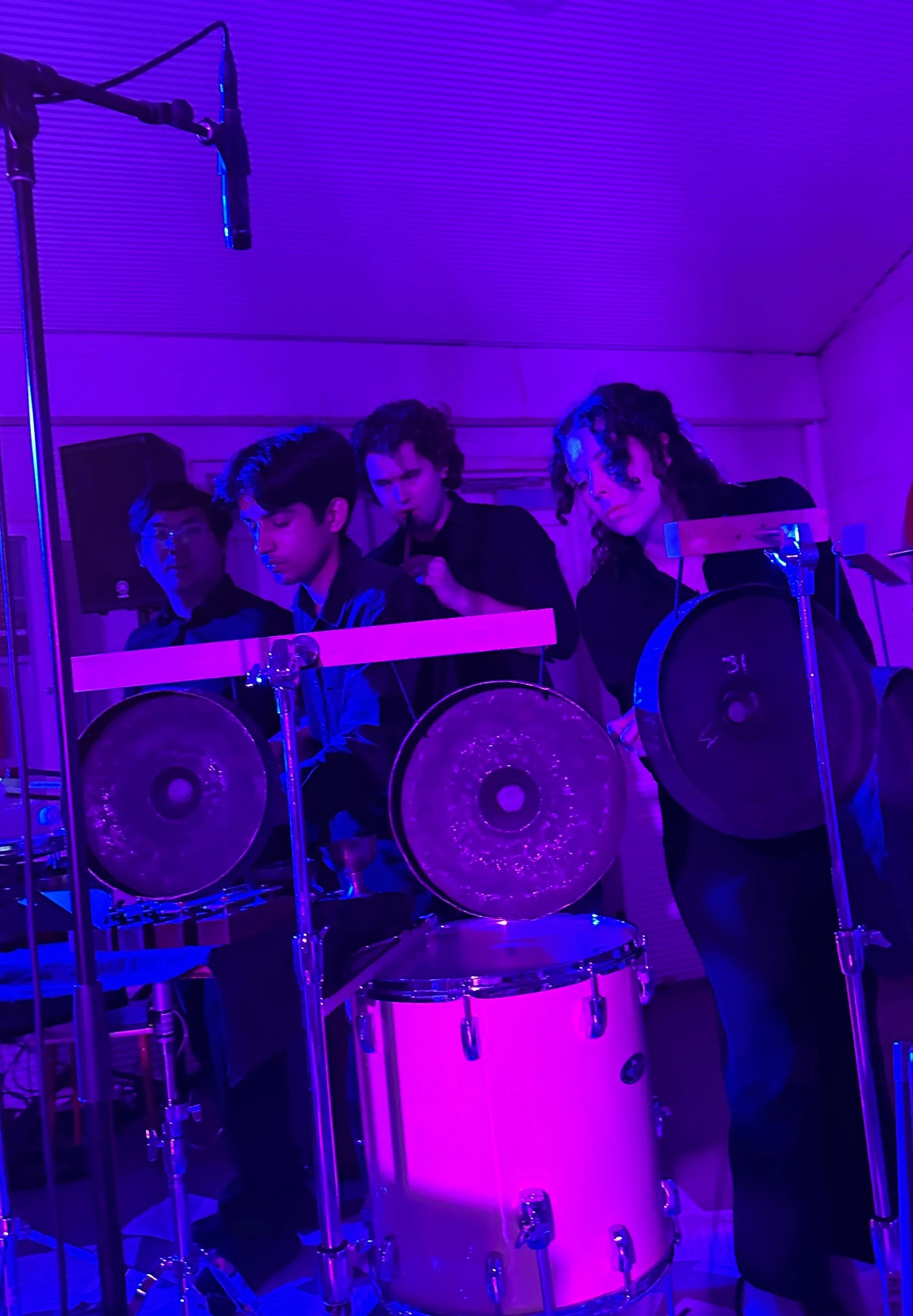 Shepp Fest pitch island.jpg