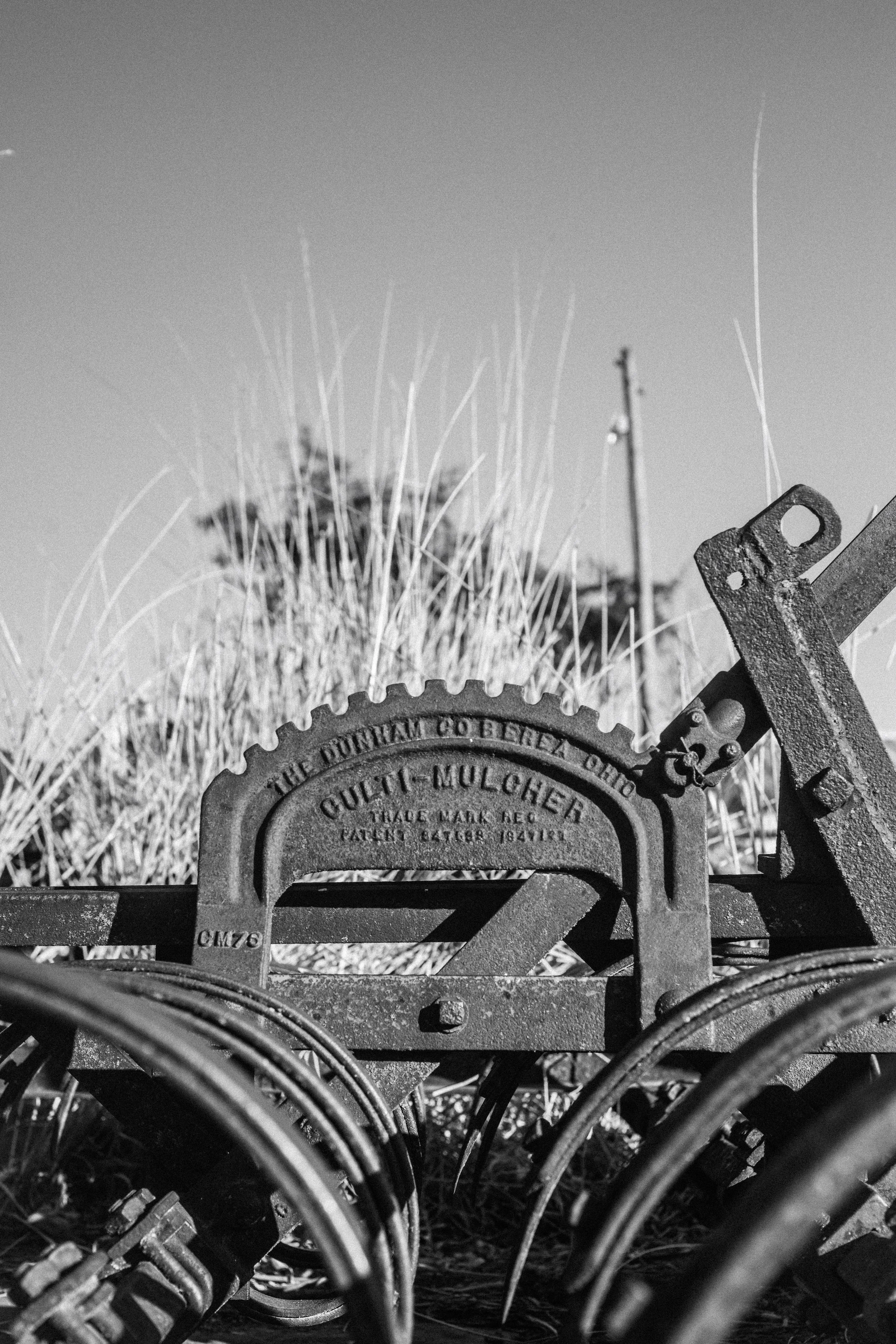 2025 Wright Farm038.jpg