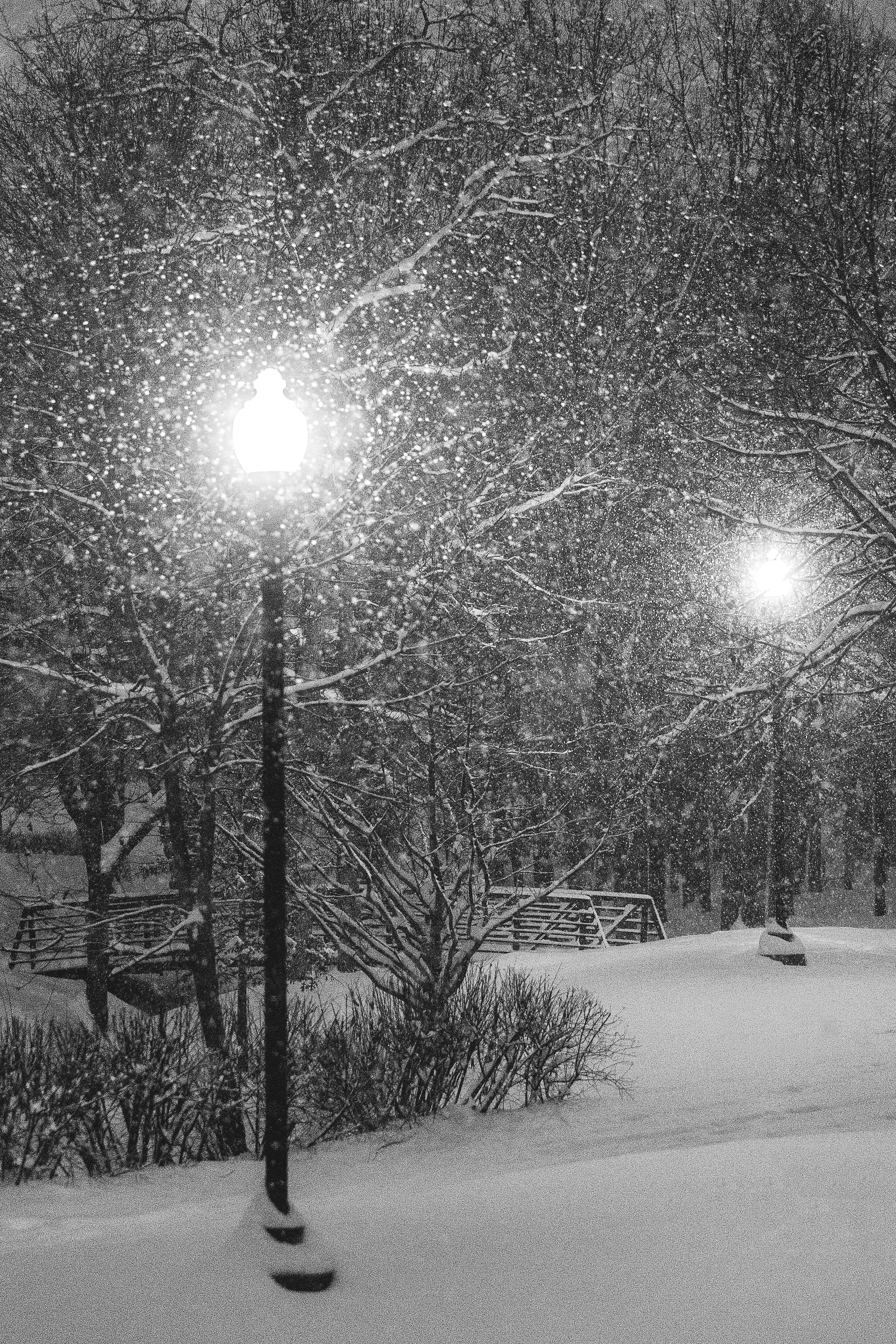 Jan_2019_Snow04.jpg
