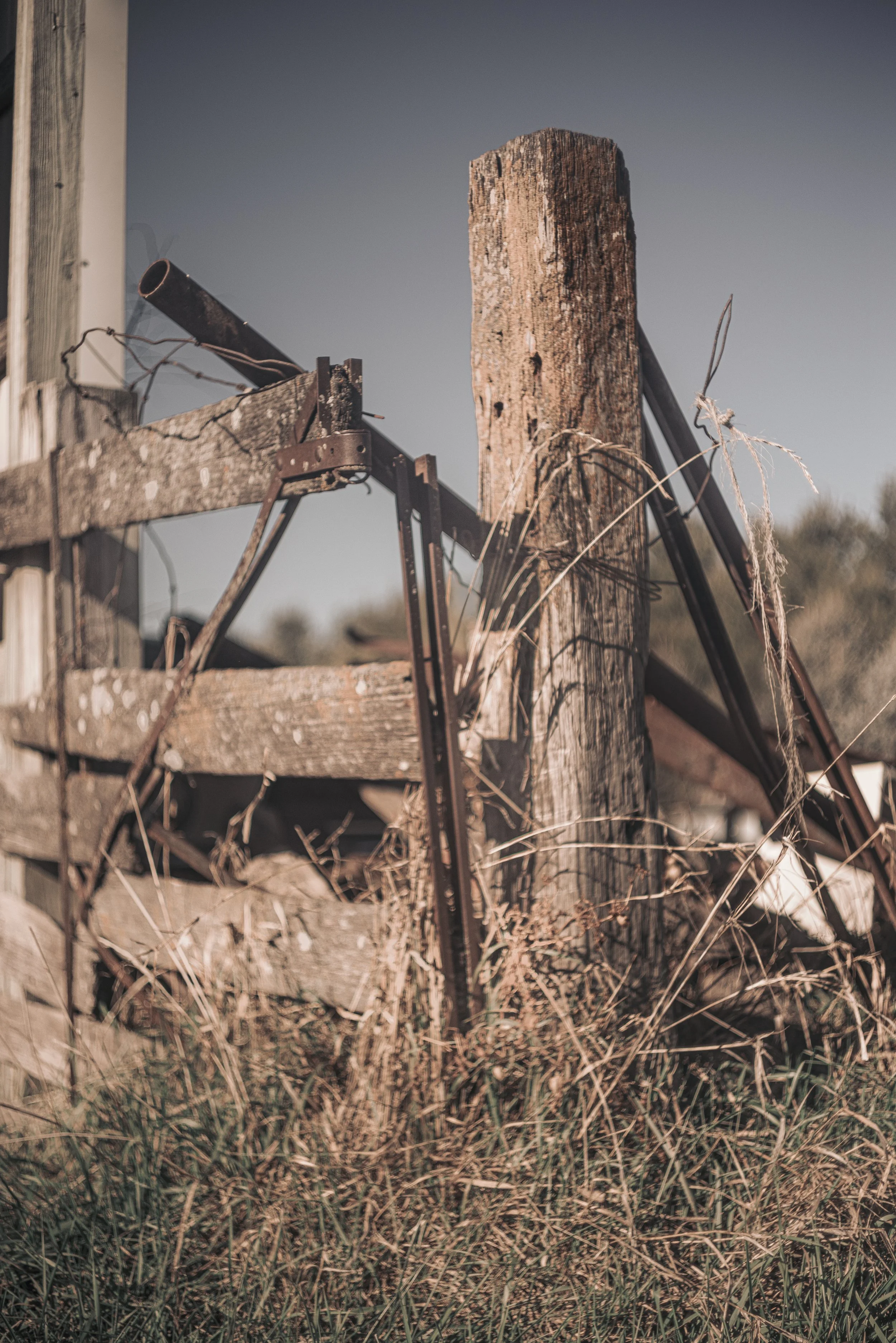 2025 Wright Farm001-2.jpg