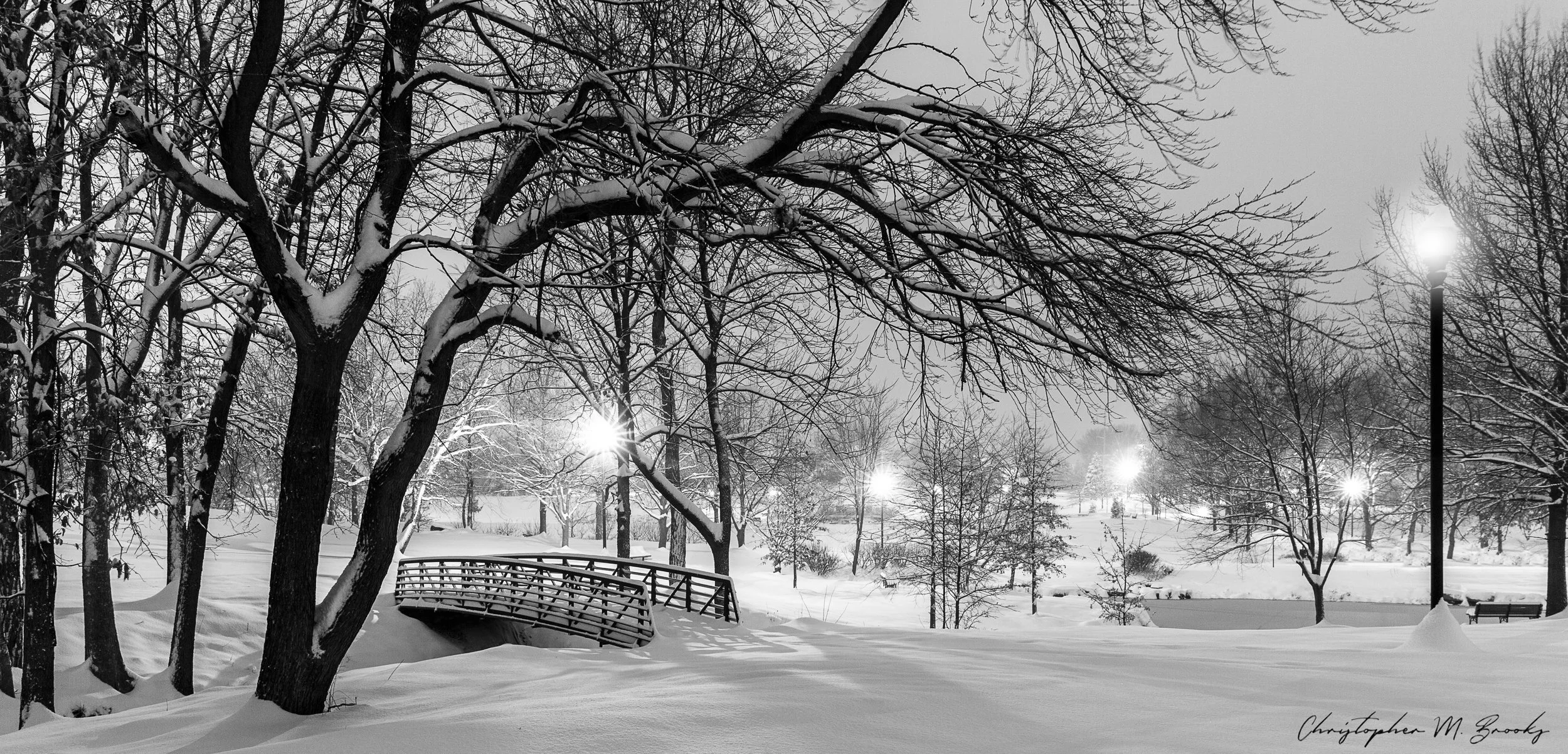 Jan_2019_Snow01.jpg