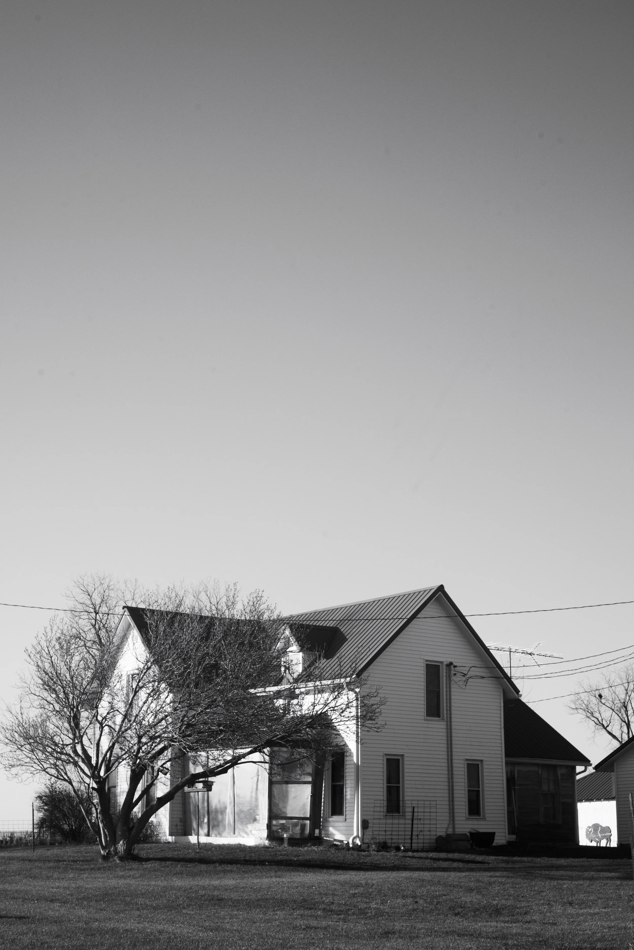 2025 Wright Farm041.jpg