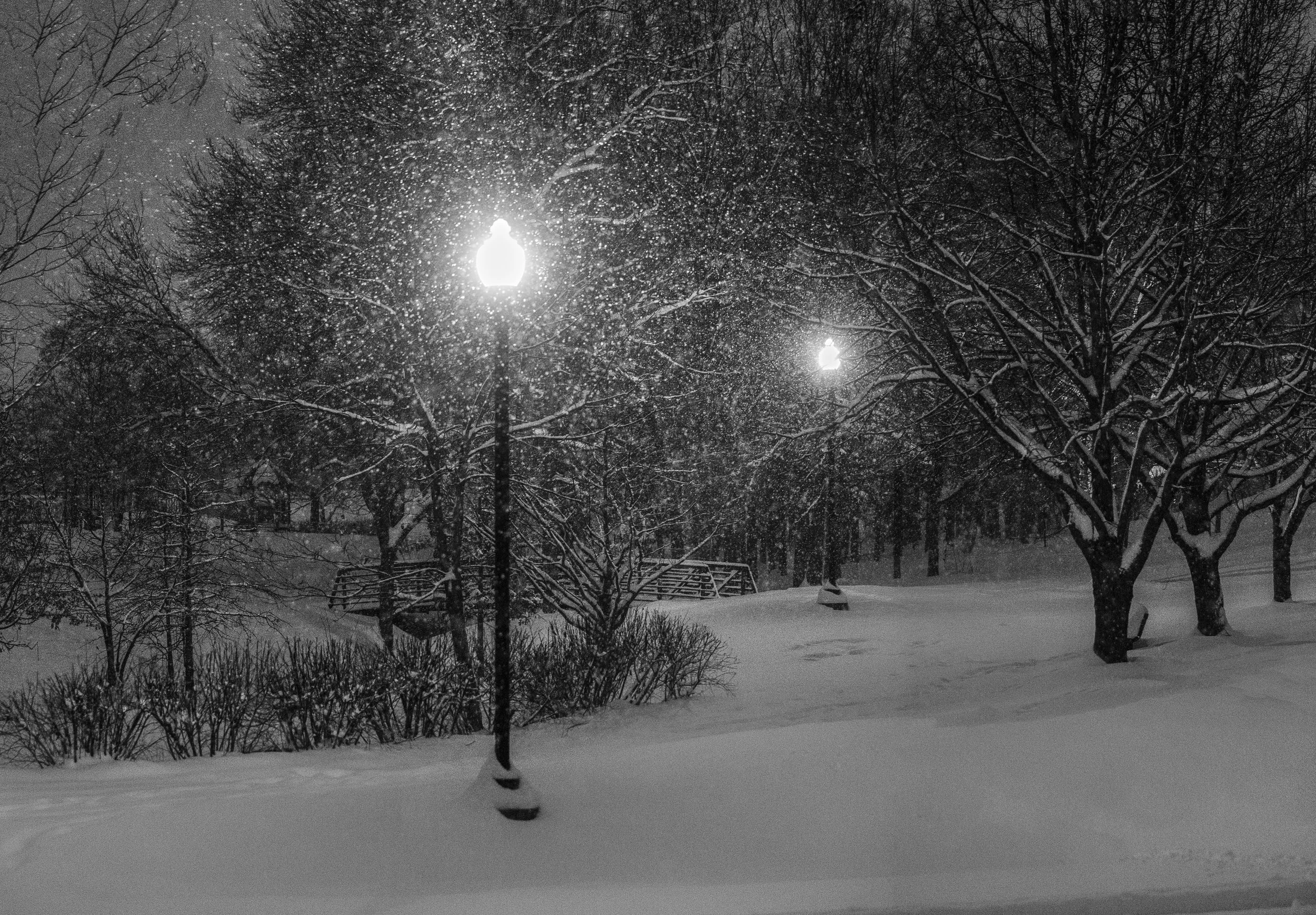 Jan_2019_Snow07.jpg