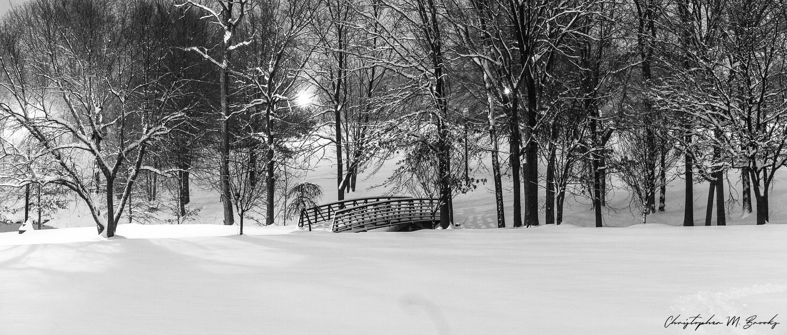 Jan_2019_Snow02.jpg