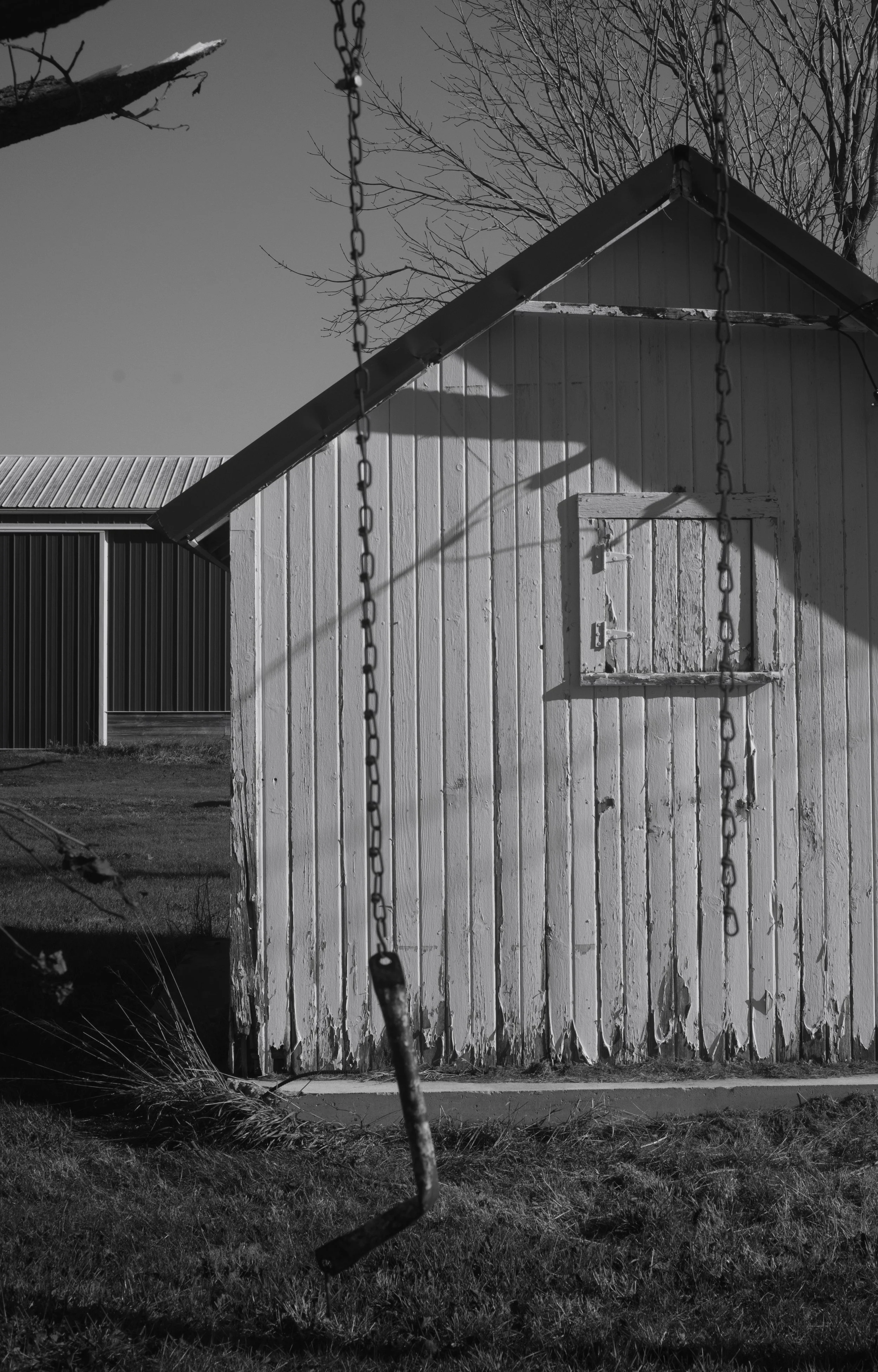 2025 Wright Farm027.jpg