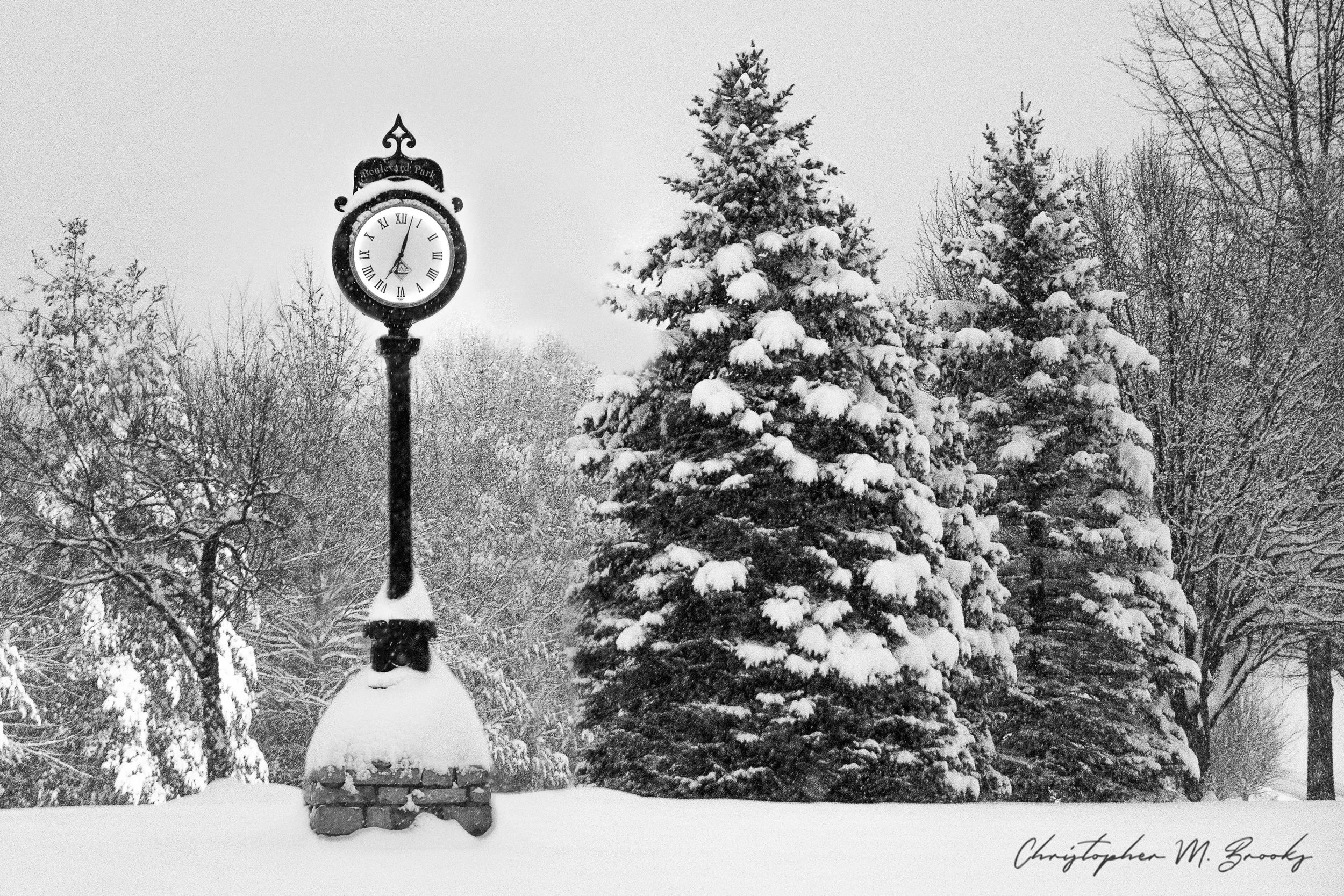 Jan_2019_Snow05.jpg