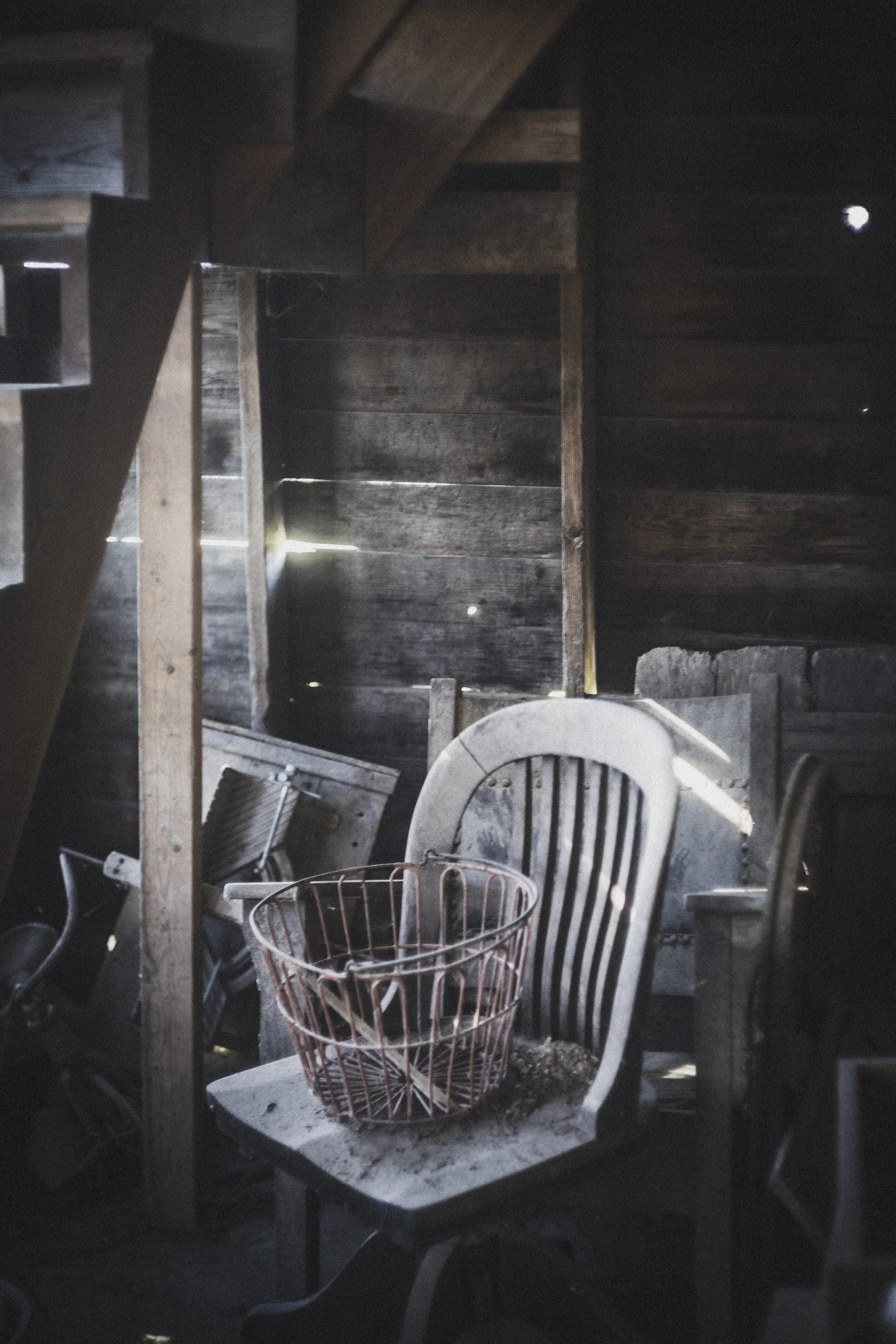 2025 Wright Farm016-2.jpg
