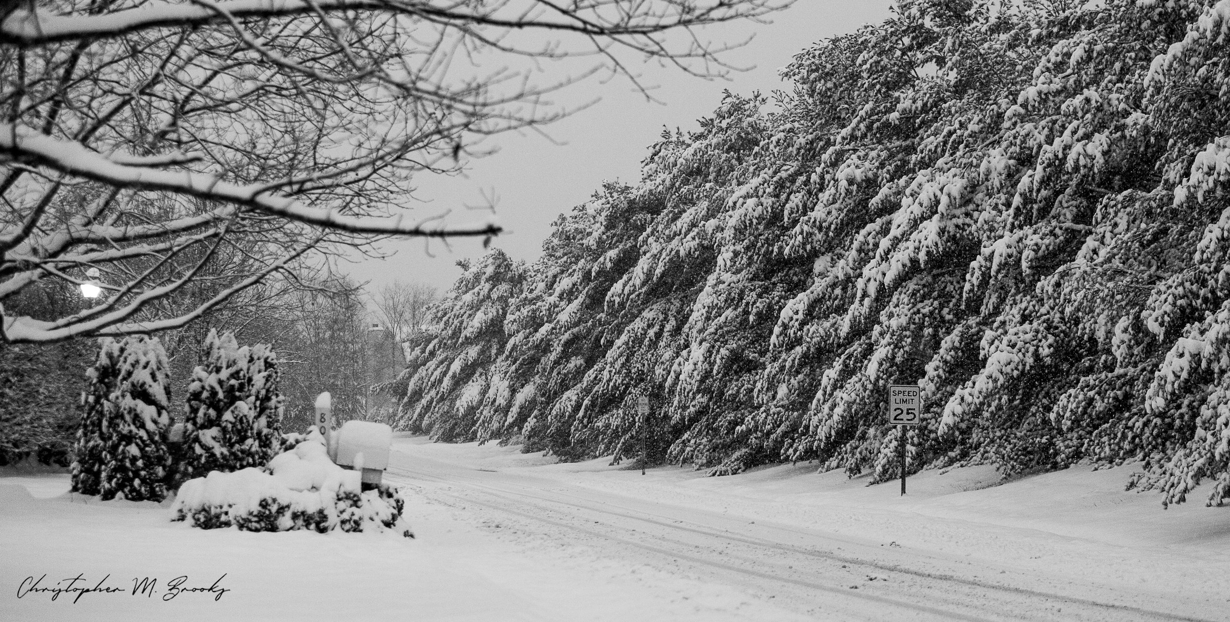 Jan_2019_Snow06.jpg